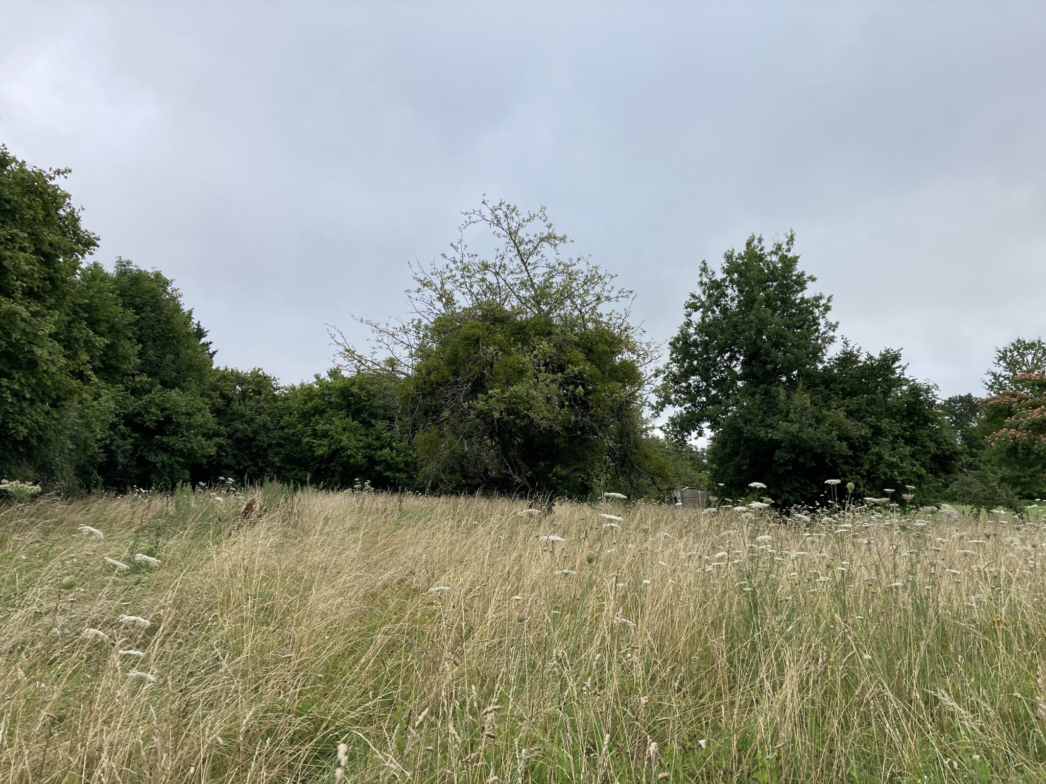 Vente Terrain à Magnac-Bourg 0 pièce