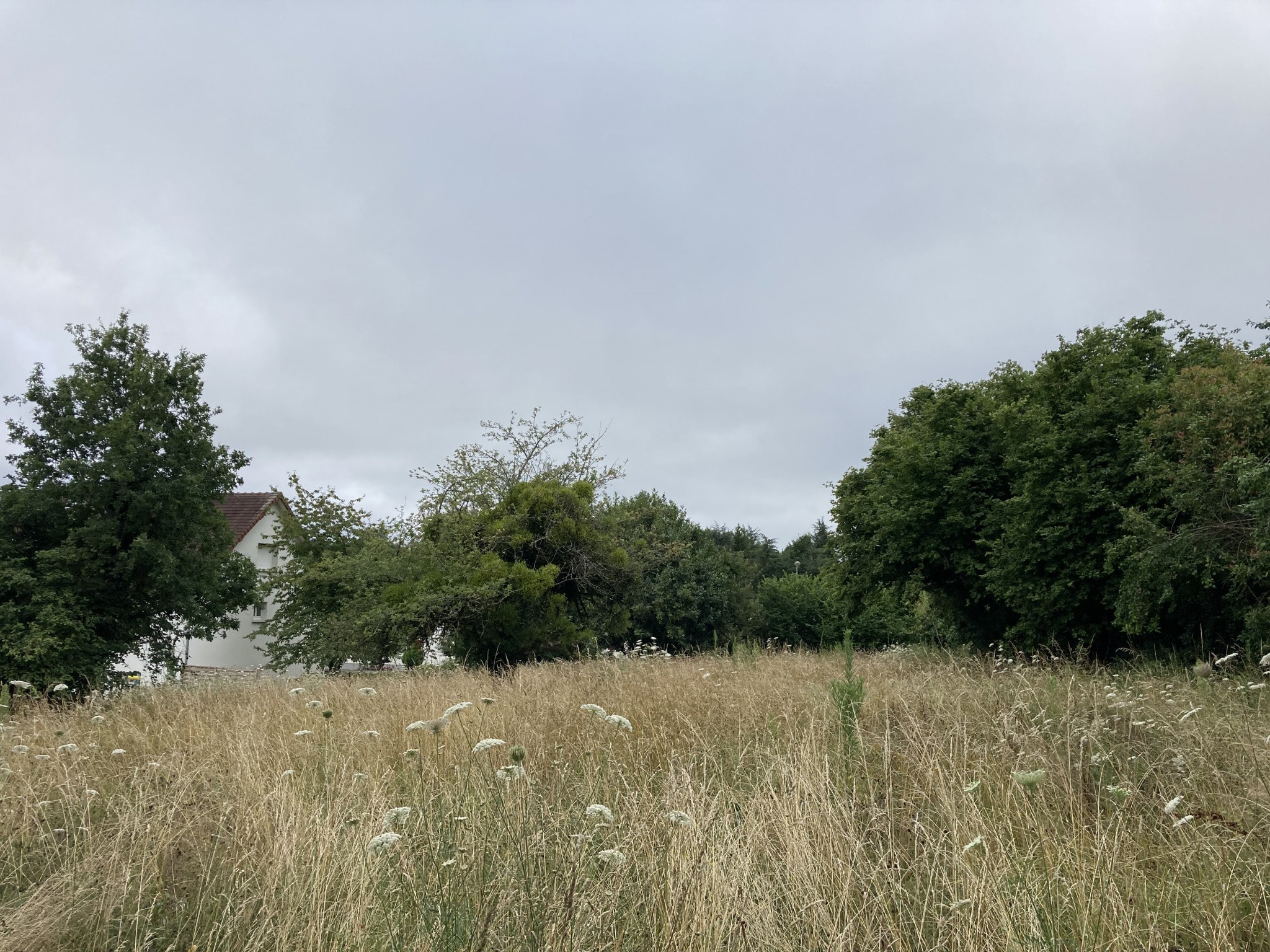 Vente Terrain à Magnac-Bourg 0 pièce