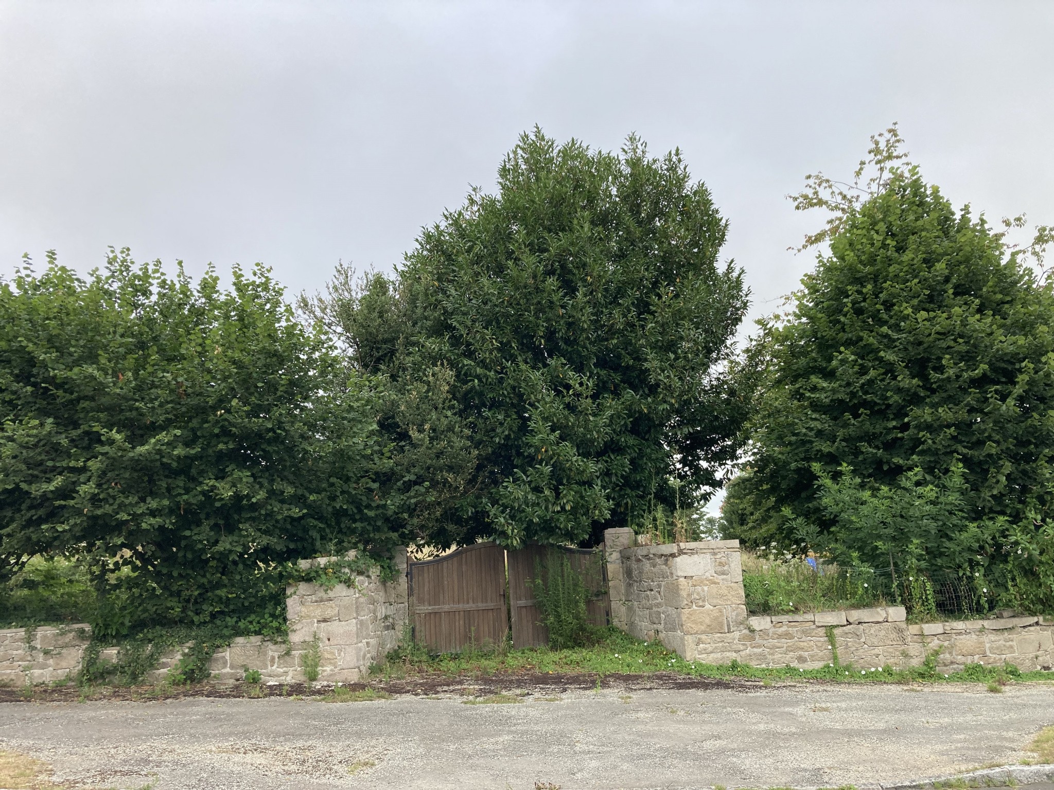 Vente Terrain à Magnac-Bourg 0 pièce