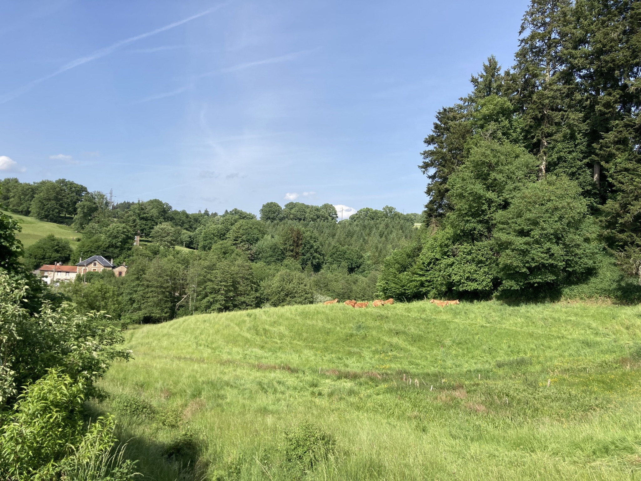 Vente Terrain à Châteauneuf-la-Forêt 0 pièce