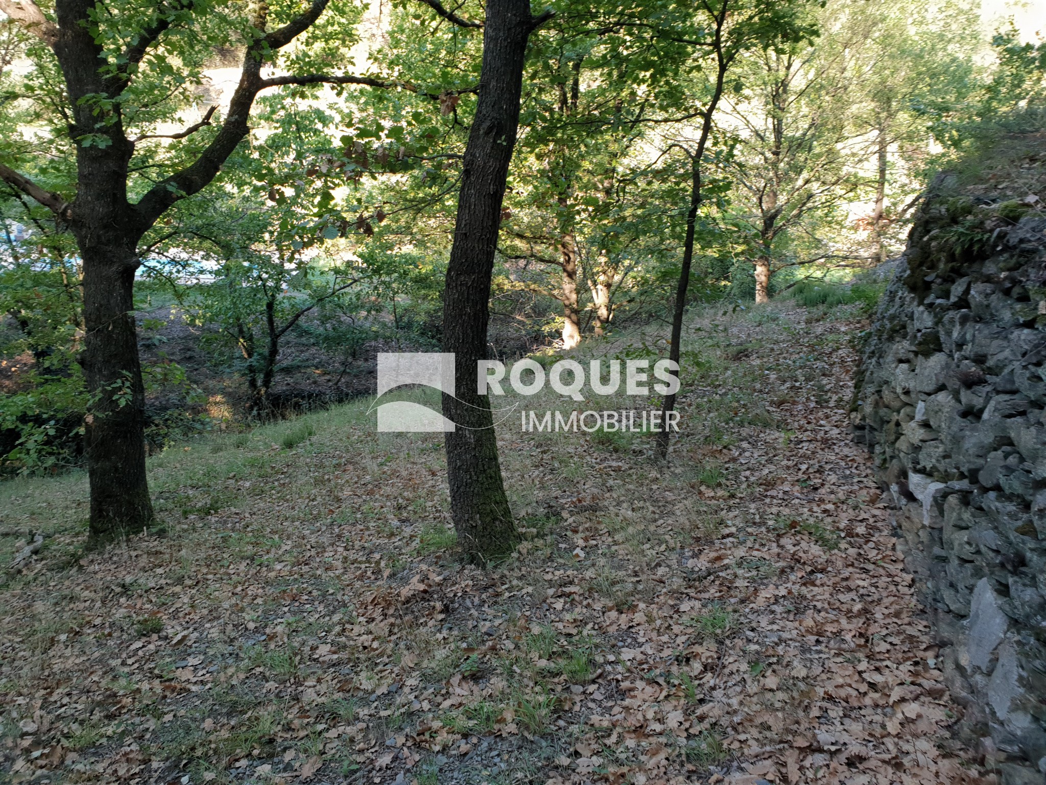 Vente Terrain à Olargues 0 pièce