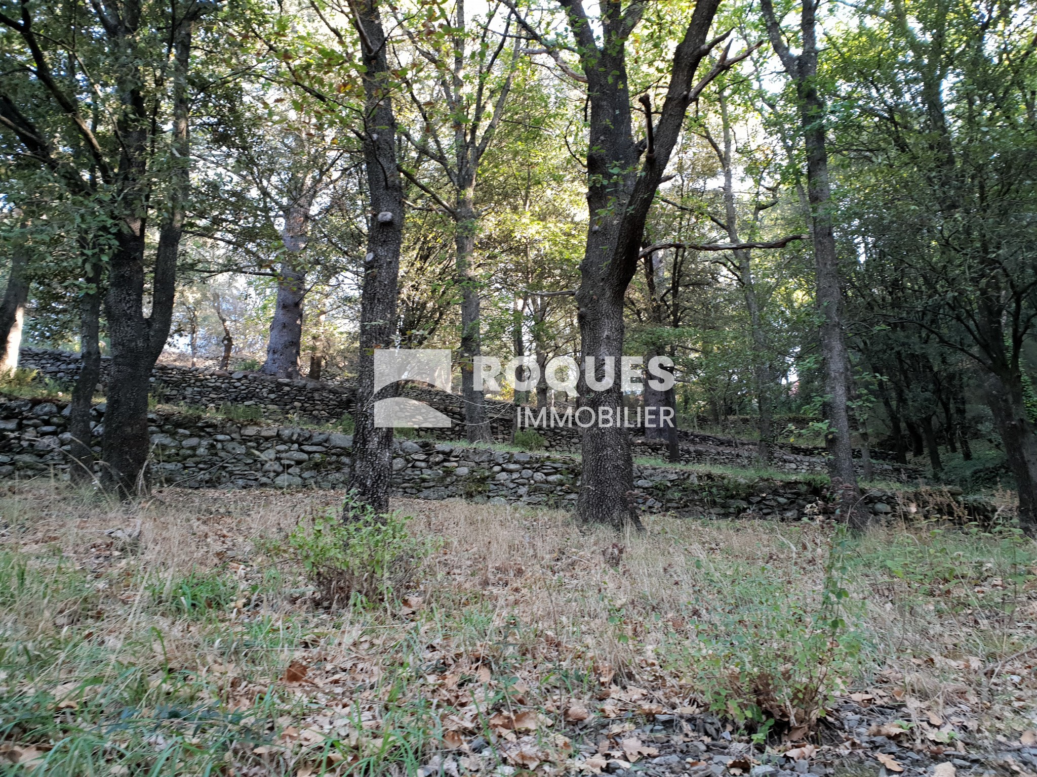 Vente Terrain à Olargues 0 pièce