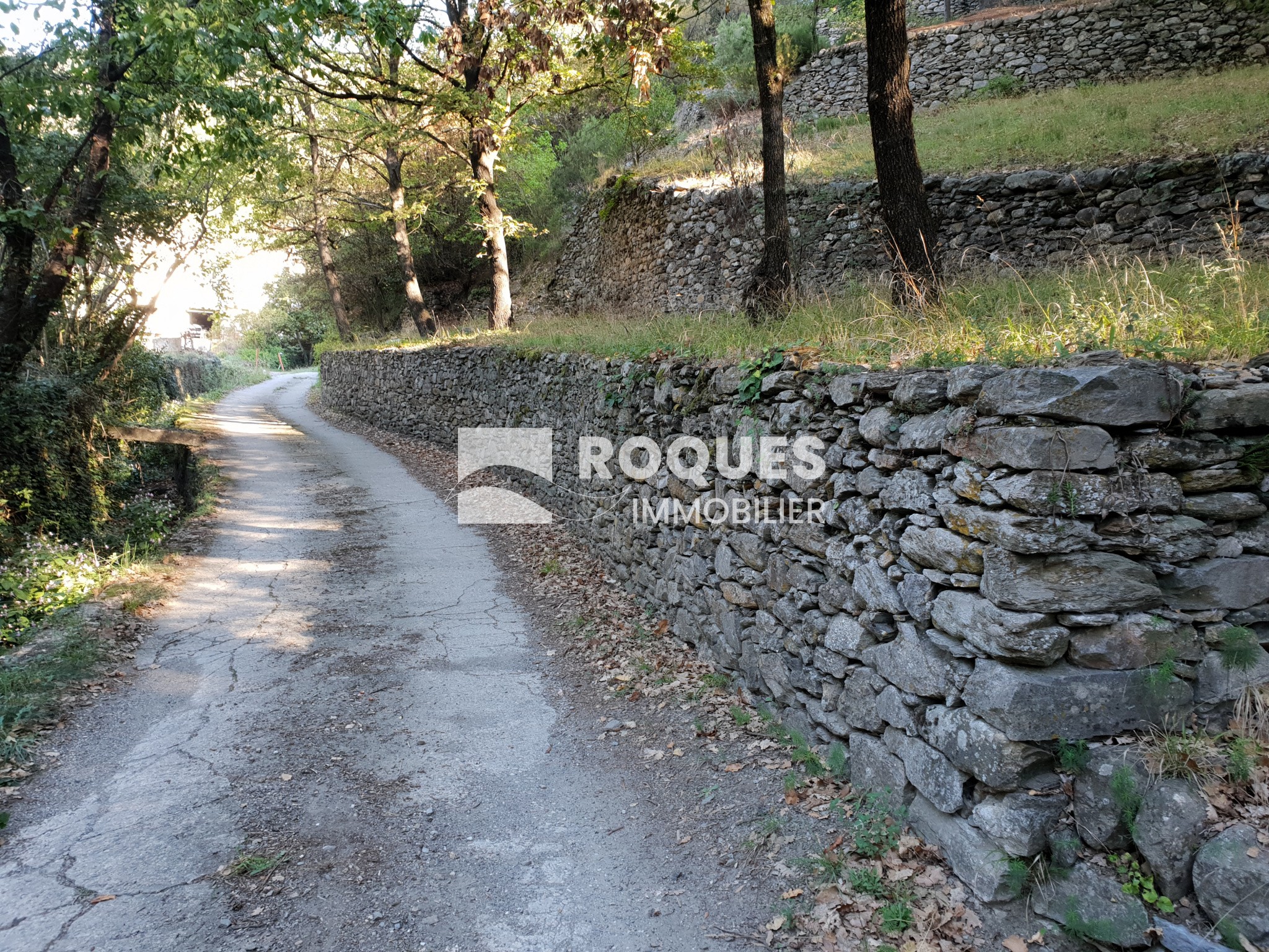 Vente Terrain à Olargues 0 pièce