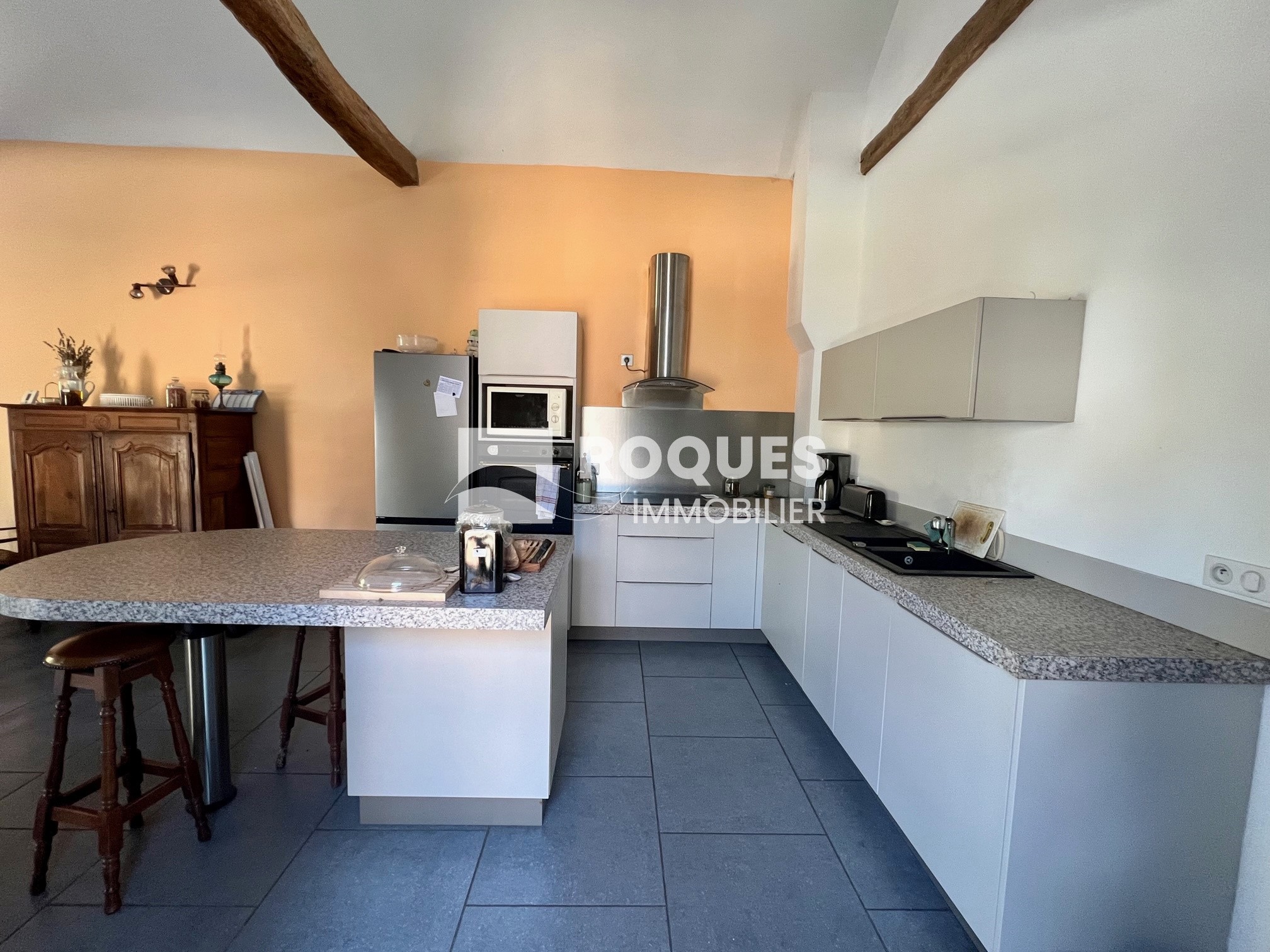 Vente Maison à Viala-du-Tarn 10 pièces