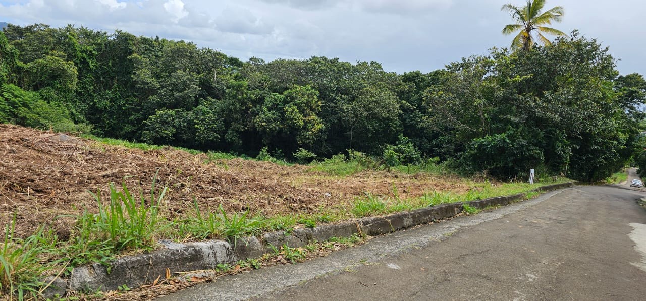 Vente Terrain à le Lamentin 0 pièce