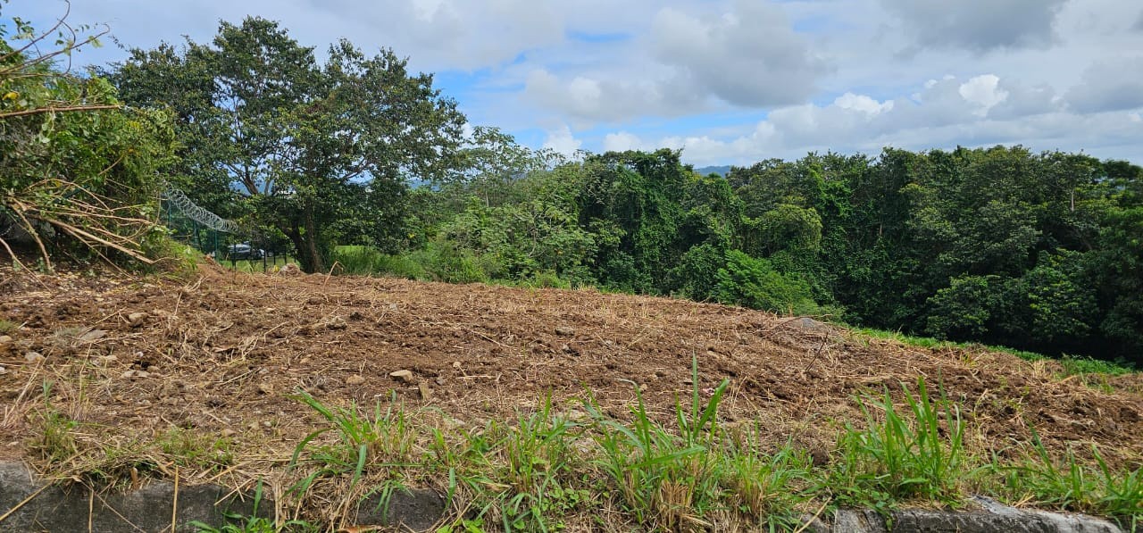 Vente Terrain à le Lamentin 0 pièce