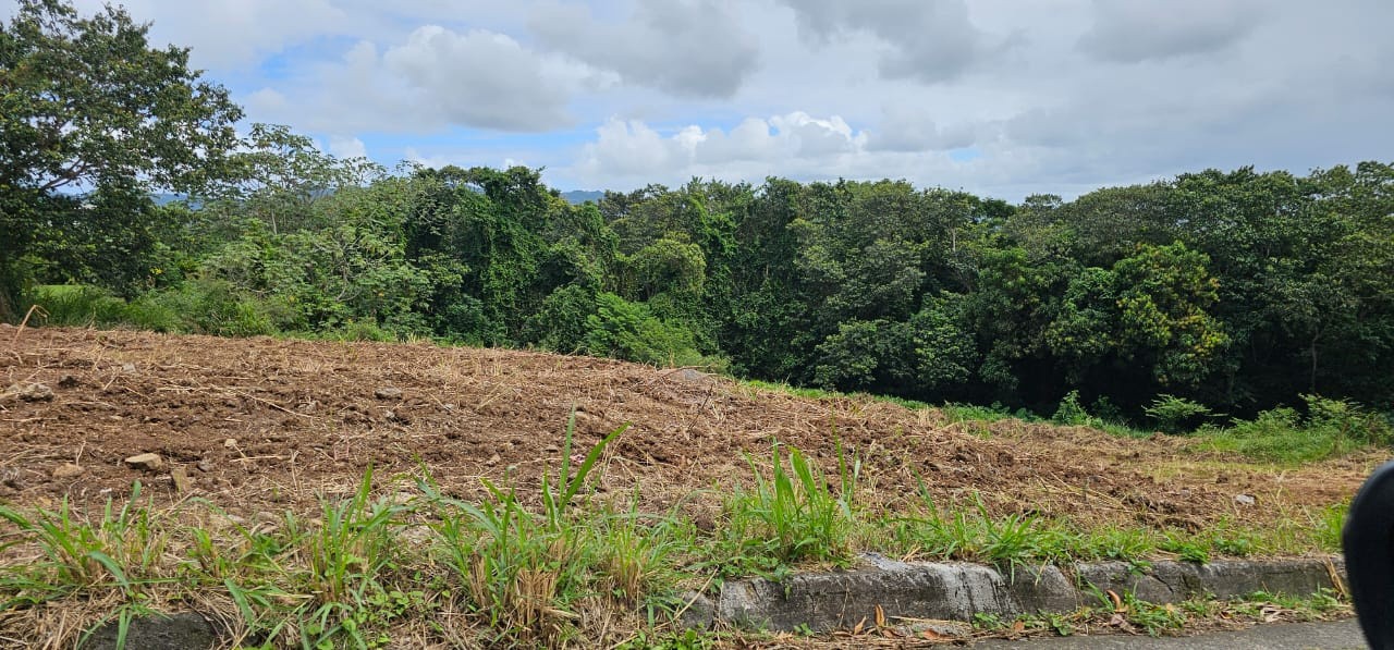 Vente Terrain à le Lamentin 0 pièce