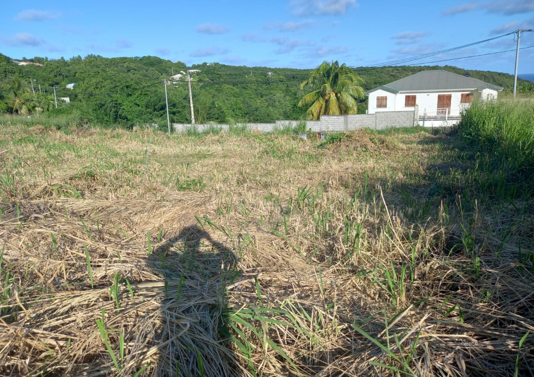 Vente Terrain à le Marin 0 pièce