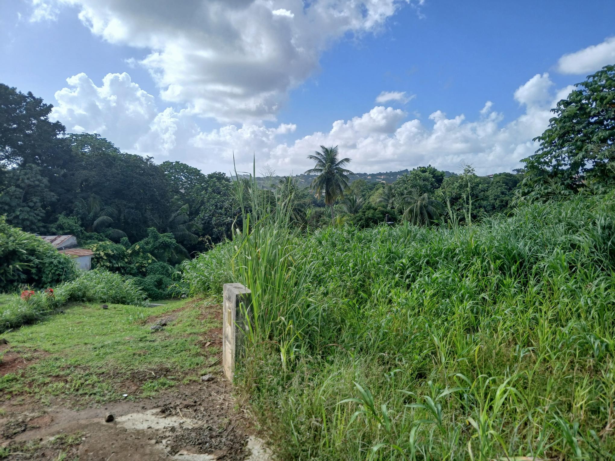 Vente Terrain à Saint-Esprit 0 pièce