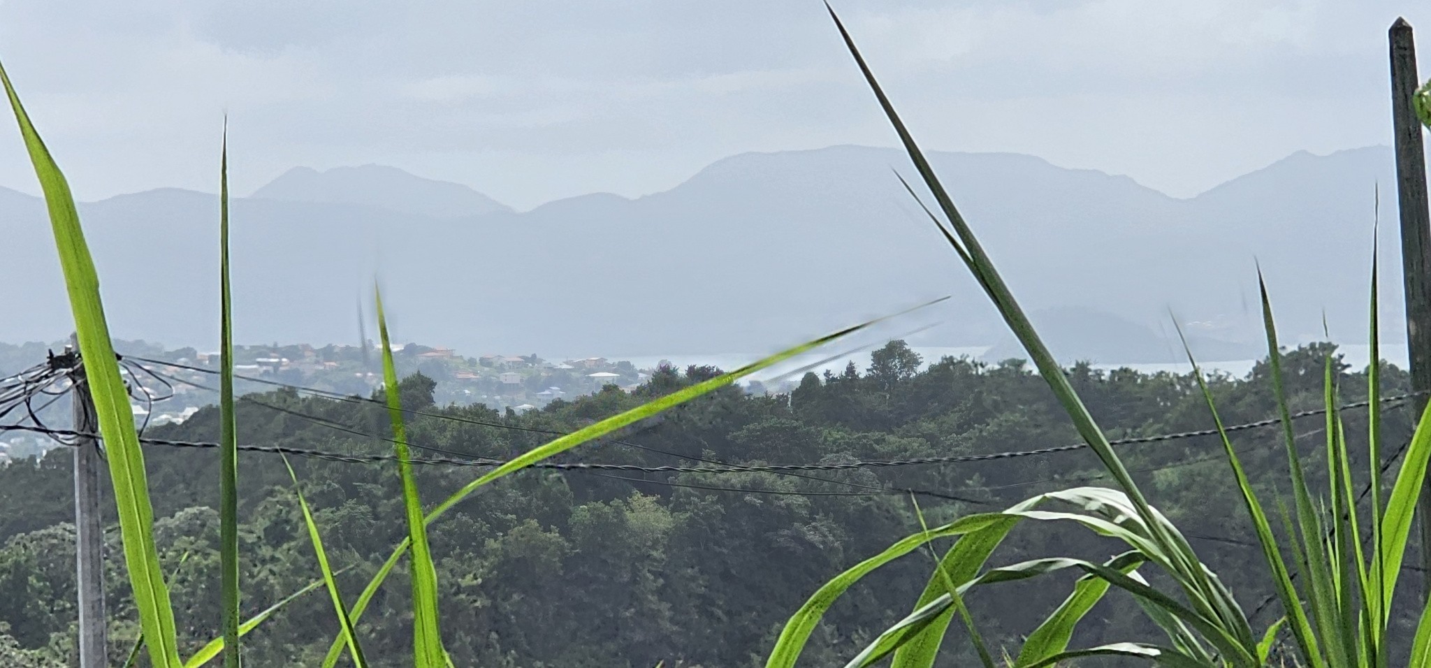 Vente Terrain à le Lamentin 0 pièce