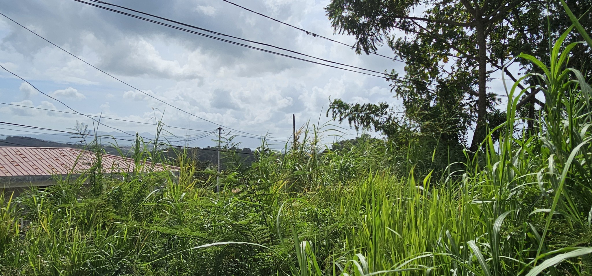 Vente Terrain à le Lamentin 0 pièce