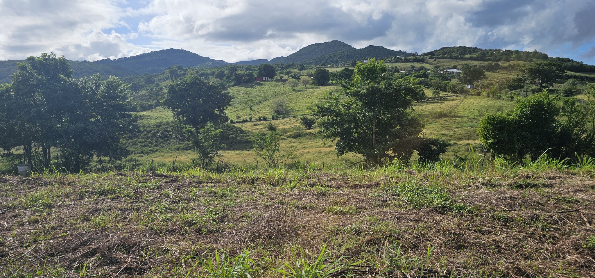 Vente Terrain à Rivière-Salée 0 pièce