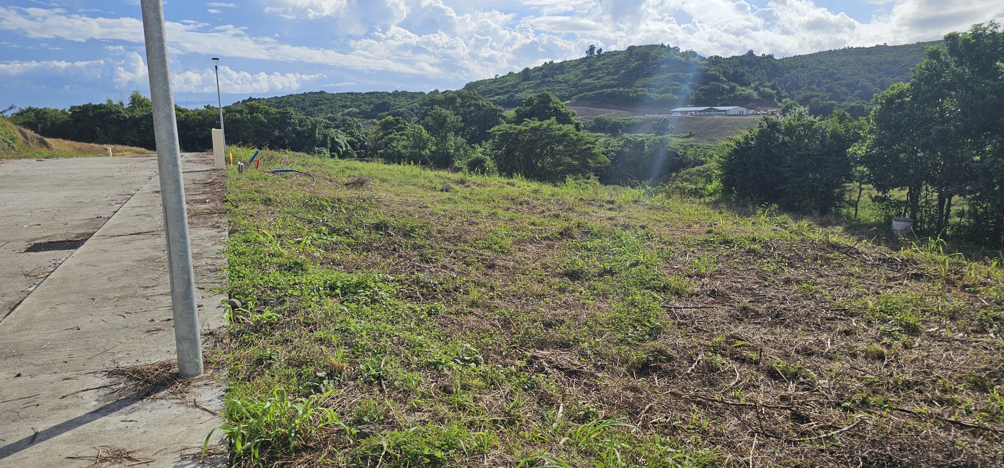 Vente Terrain à Rivière-Salée 0 pièce