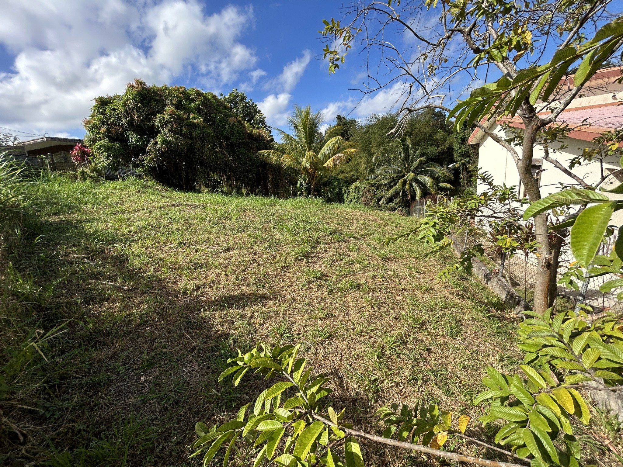 Vente Terrain à Fort-de-France 0 pièce