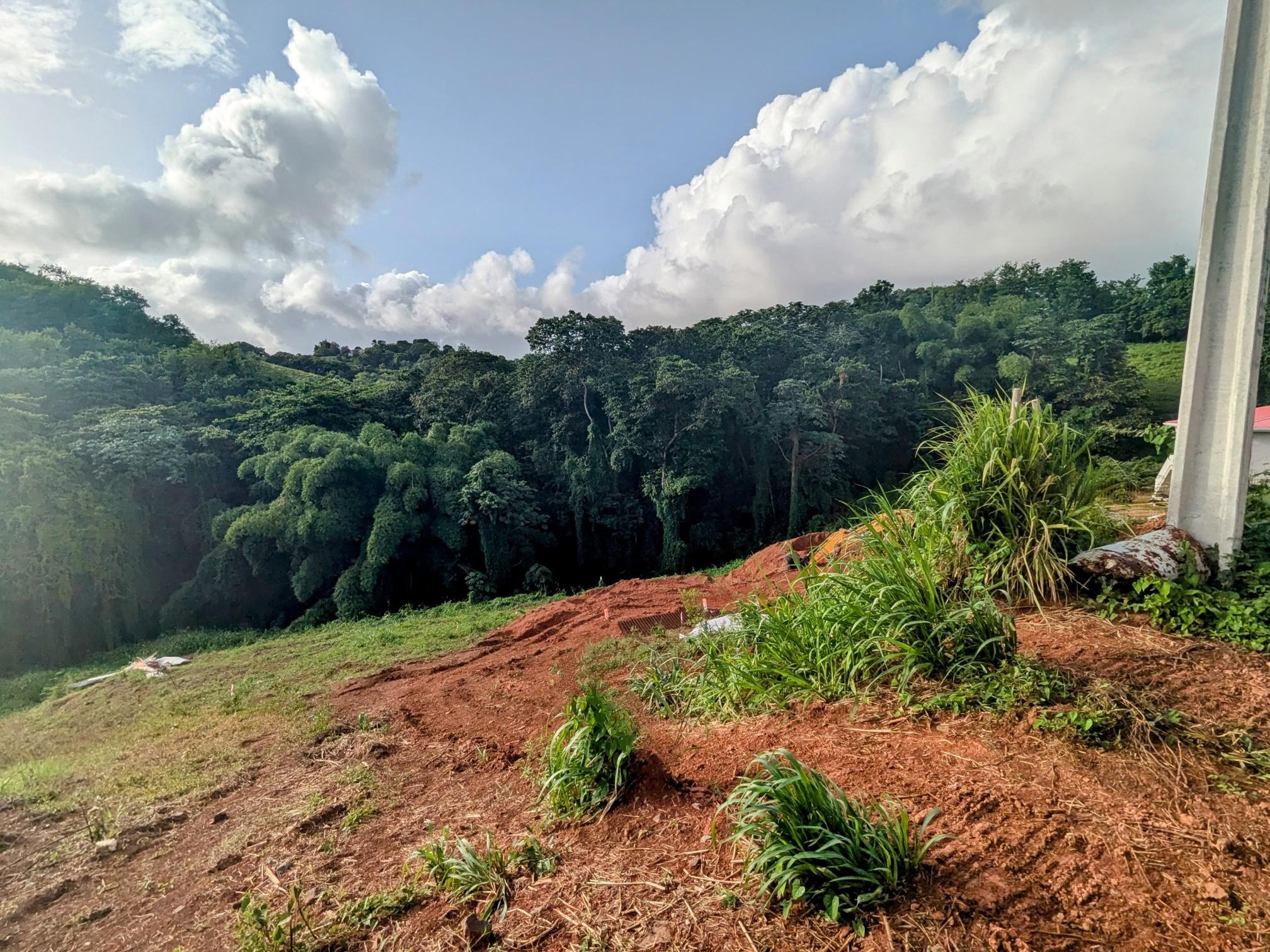 Vente Terrain à Ducos 0 pièce