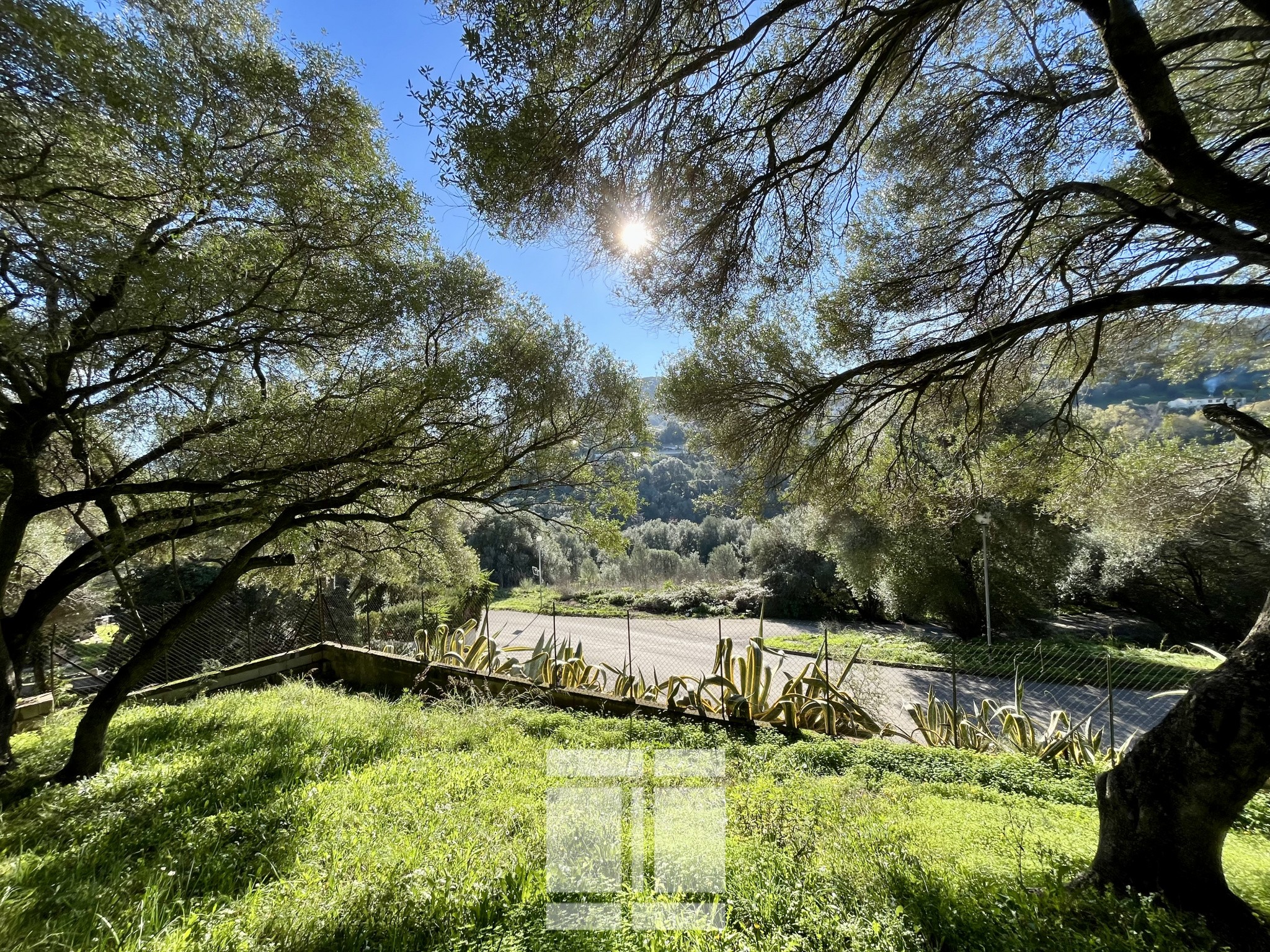 Vente Terrain à Ajaccio 0 pièce