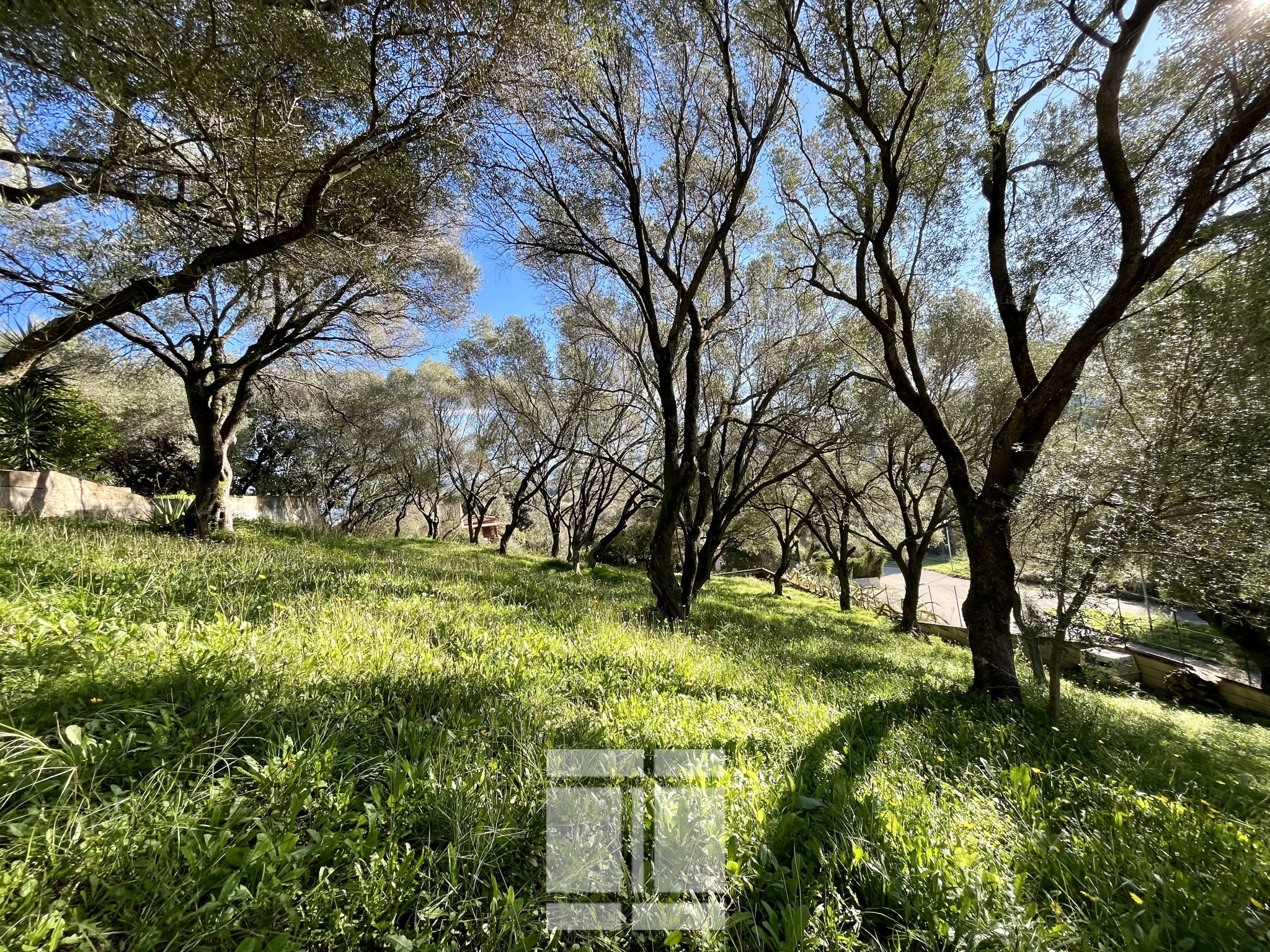 Vente Terrain à Ajaccio 0 pièce