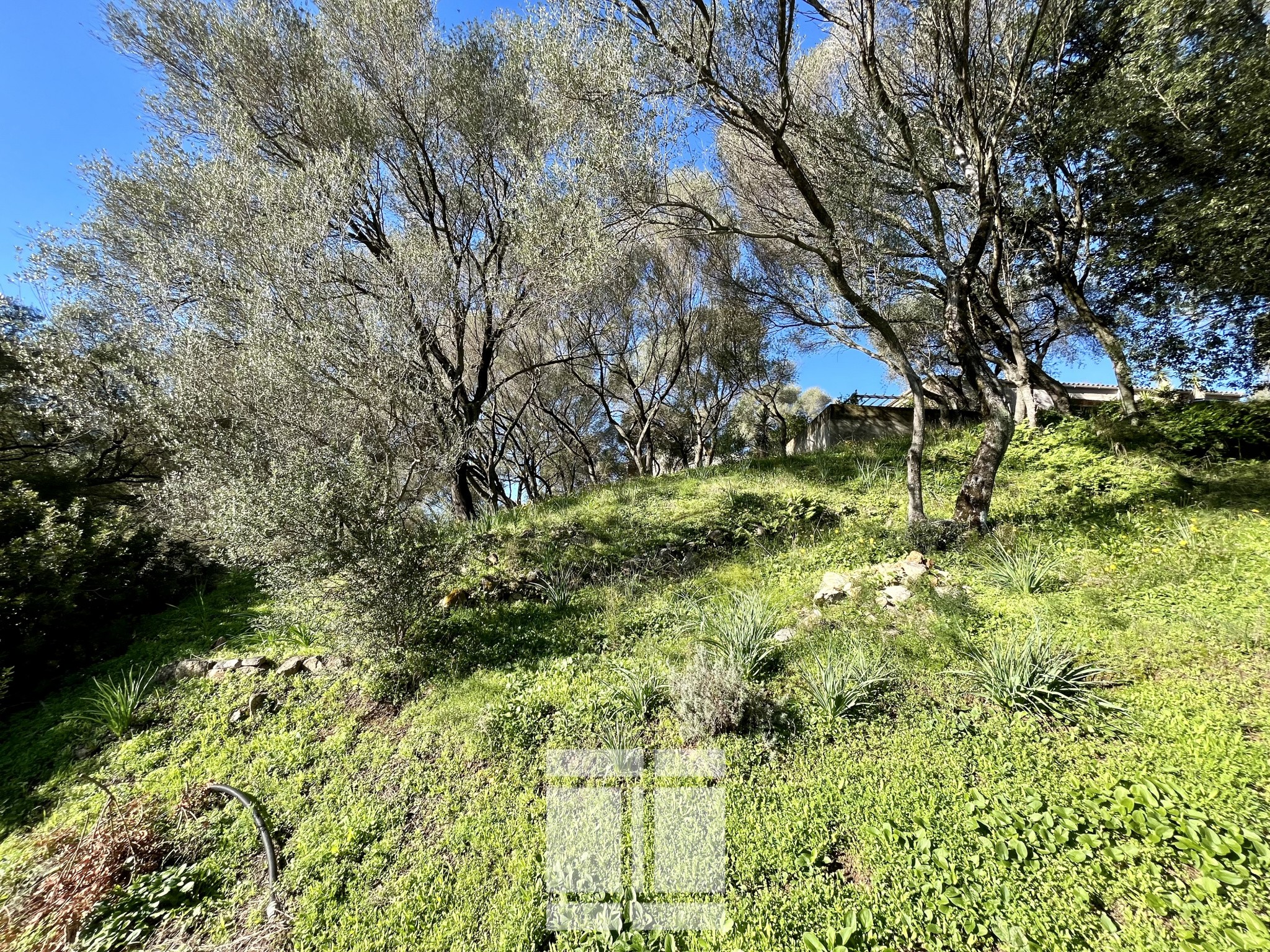 Vente Terrain à Ajaccio 0 pièce