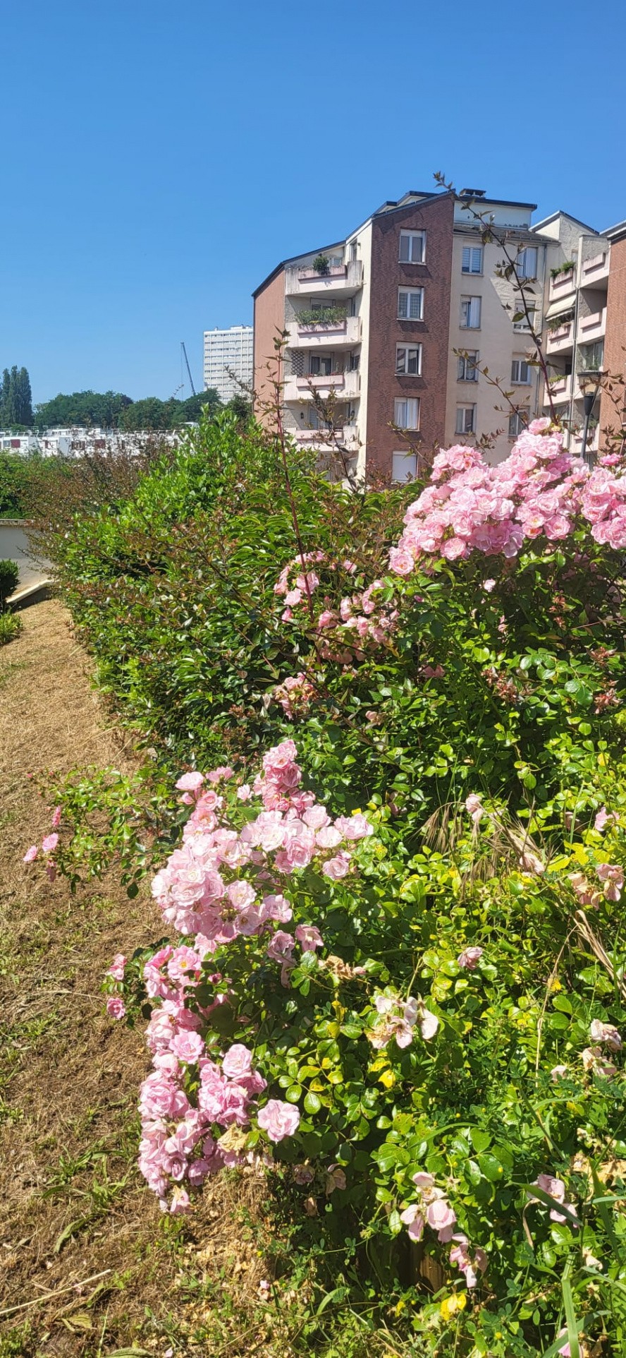 Vente Appartement à Fontenay-sous-Bois 4 pièces