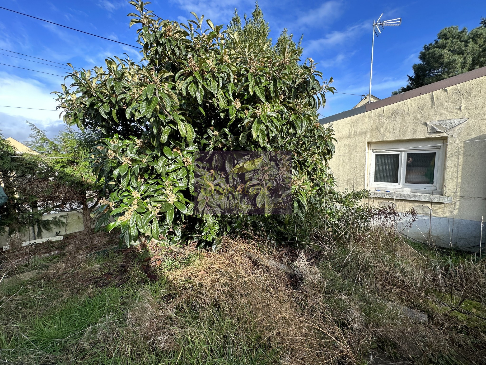 Vente Maison à le Mans 3 pièces