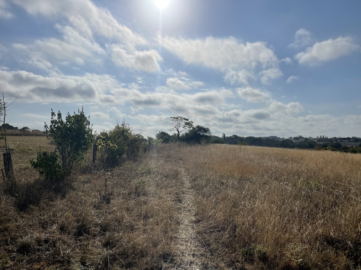 Vente Terrain à Lectoure 0 pièce