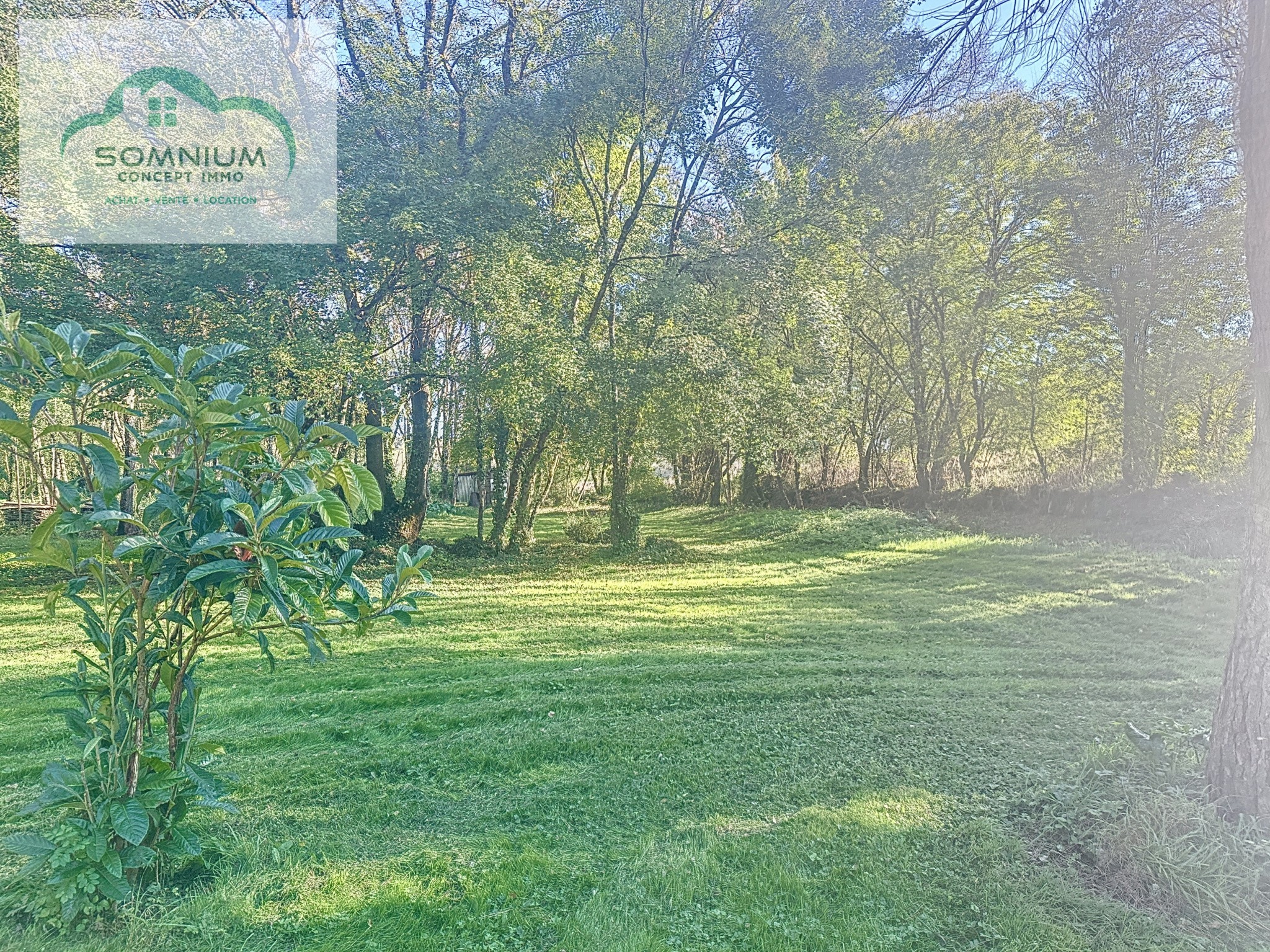 Vente Maison à l'Isle-Bouzon 4 pièces