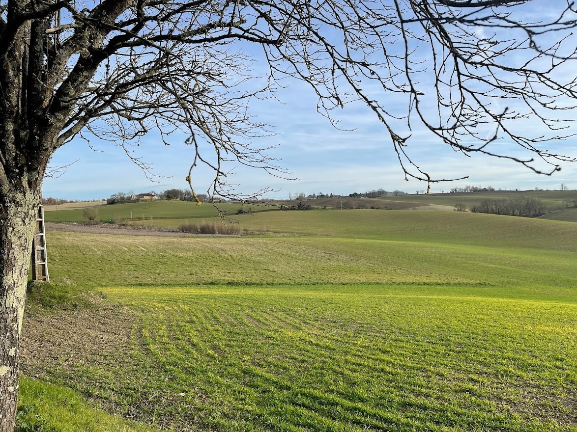 Vente Terrain à Pis 0 pièce