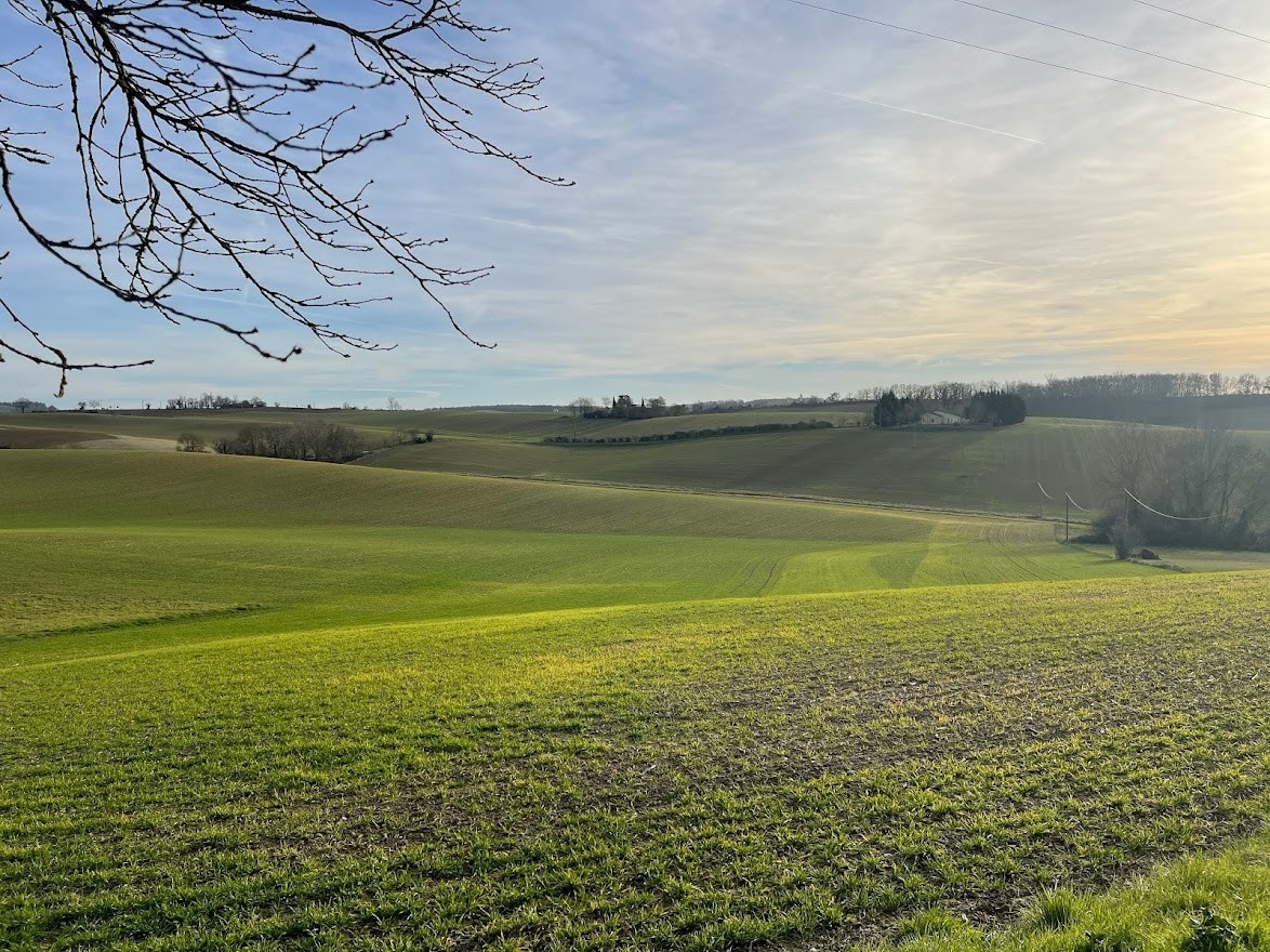 Vente Terrain à Pis 0 pièce