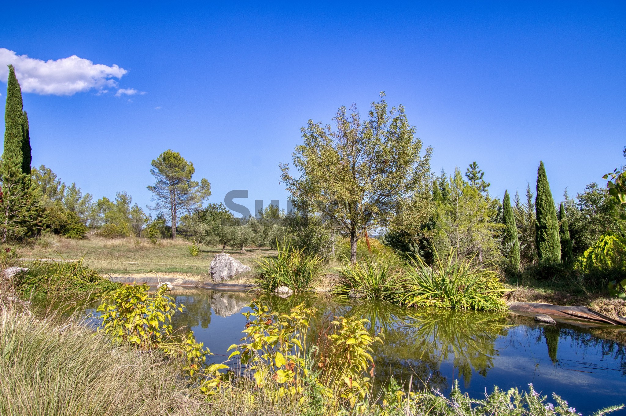 Vente Maison à Barjac 8 pièces