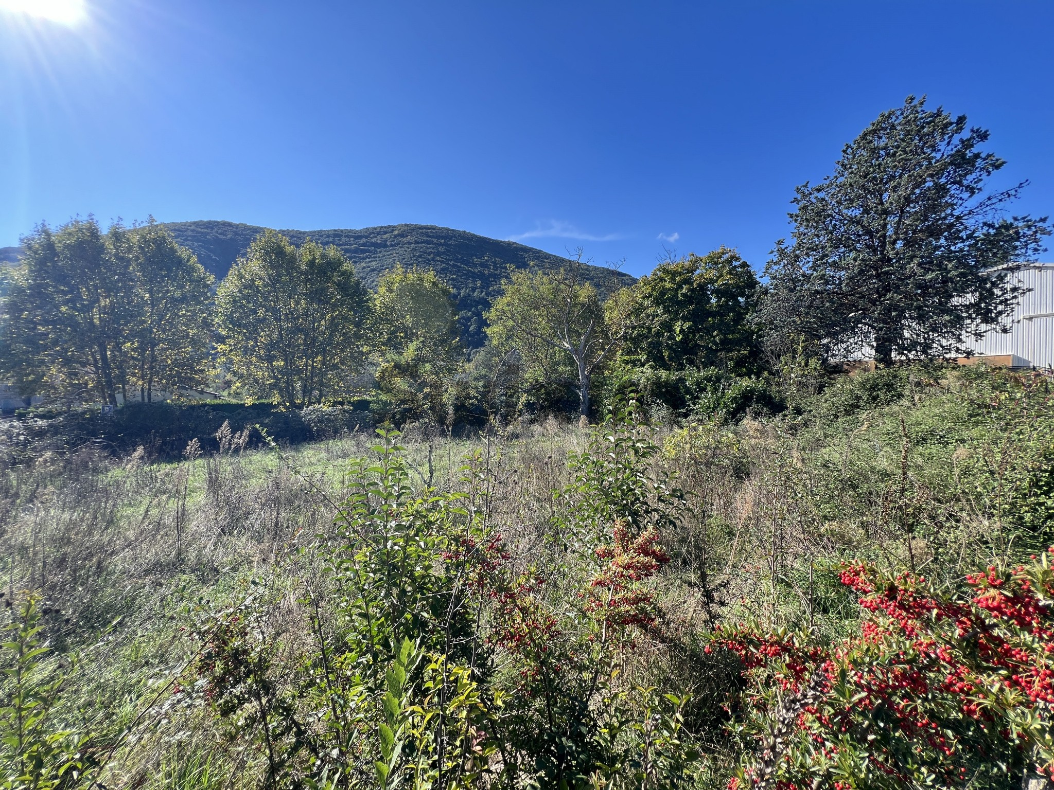 Vente Terrain à Saint-Florent-sur-Auzonnet 0 pièce