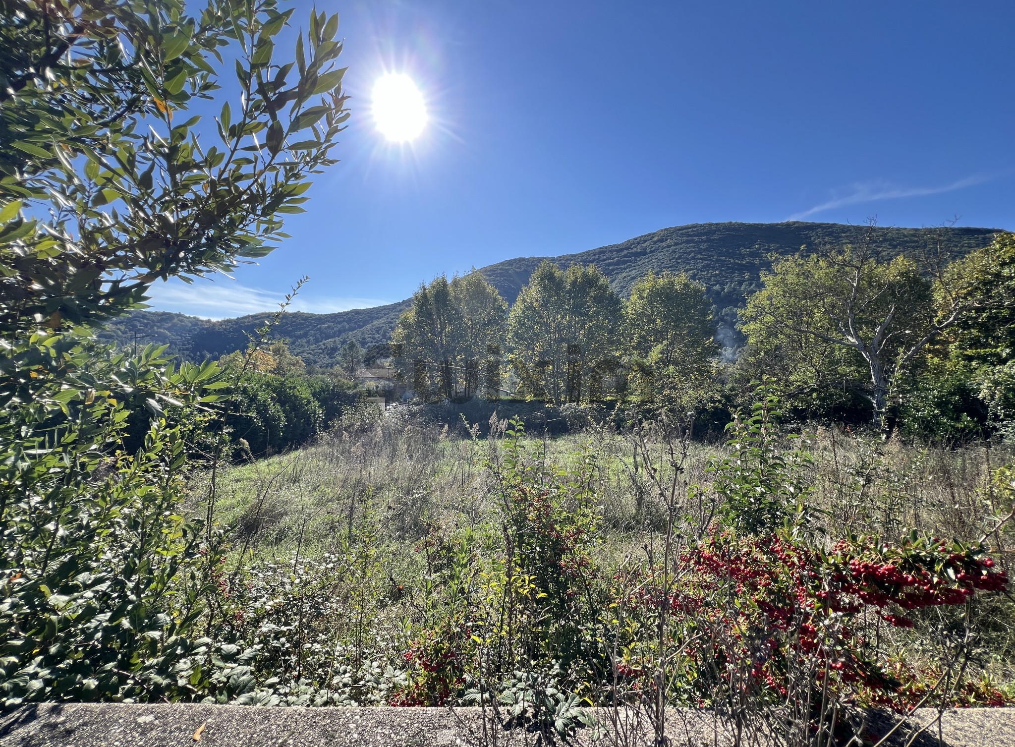 Vente Terrain à Saint-Florent-sur-Auzonnet 0 pièce