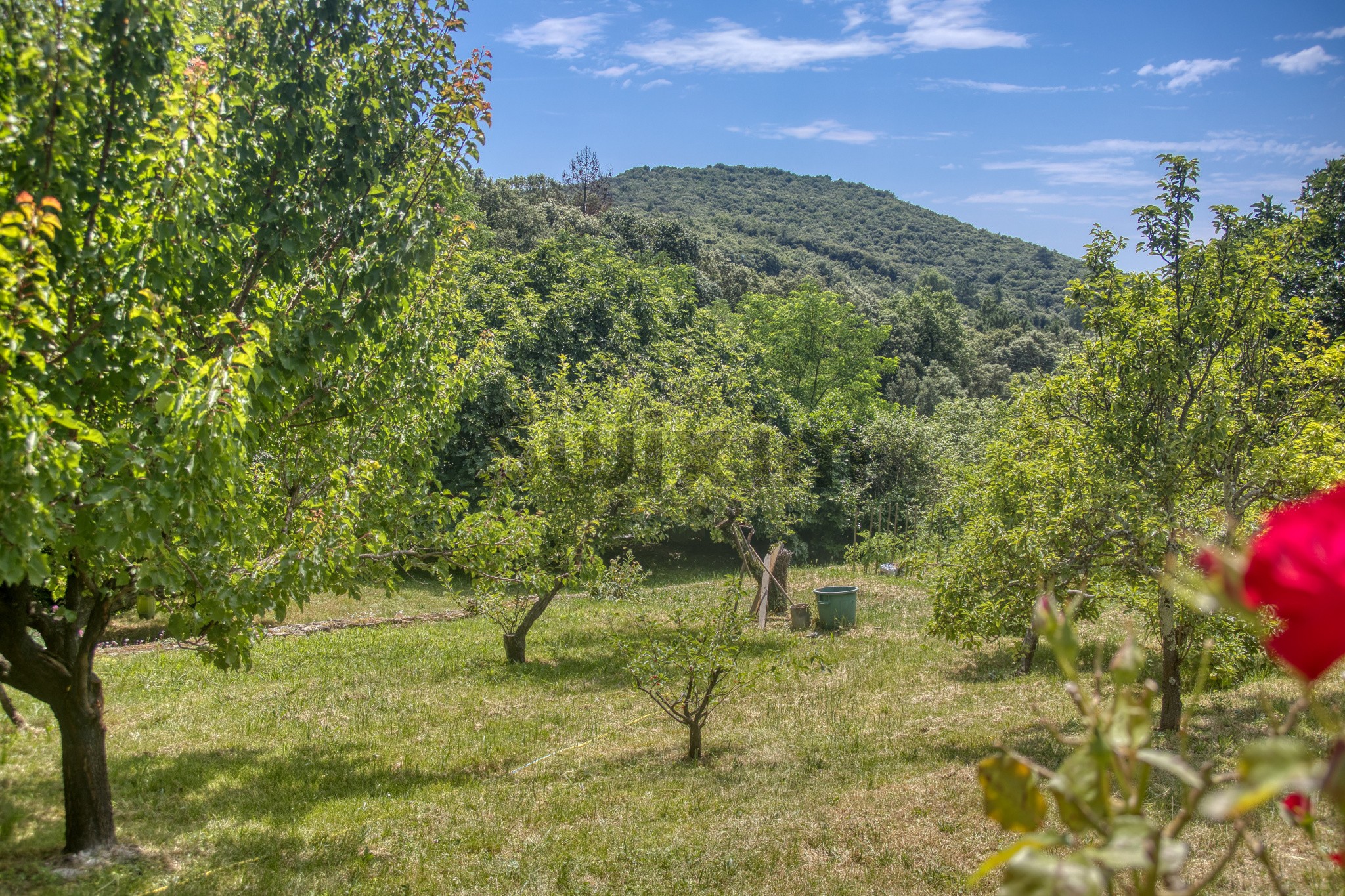 Vente Maison à Alès 8 pièces