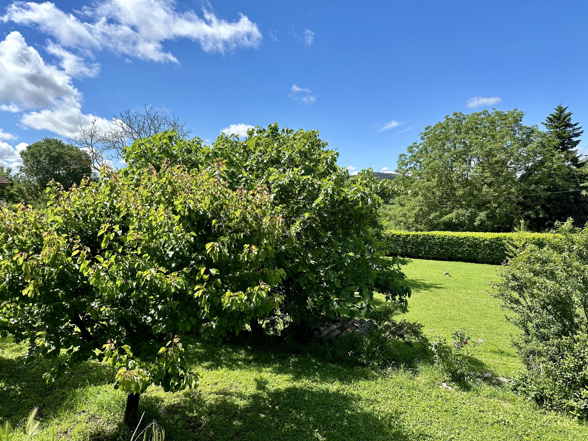 Vente Maison à Uzès 5 pièces