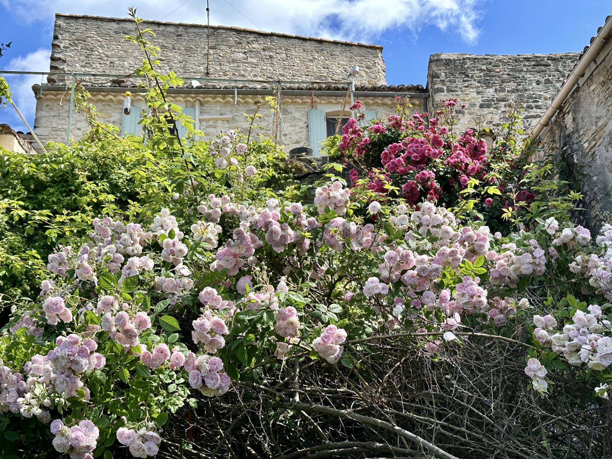 Vente Maison à Uzès 5 pièces