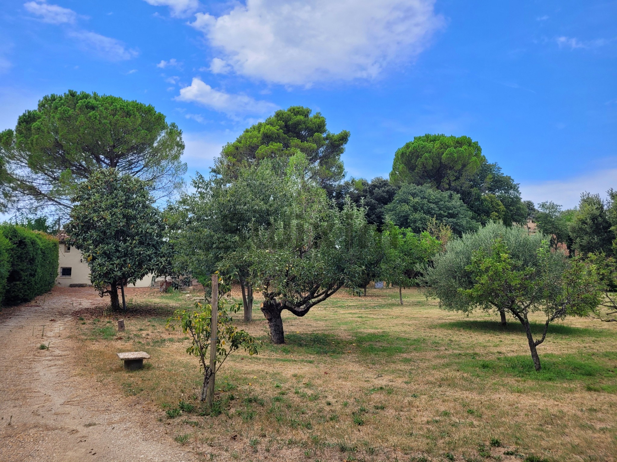 Vente Maison à Uzès 5 pièces