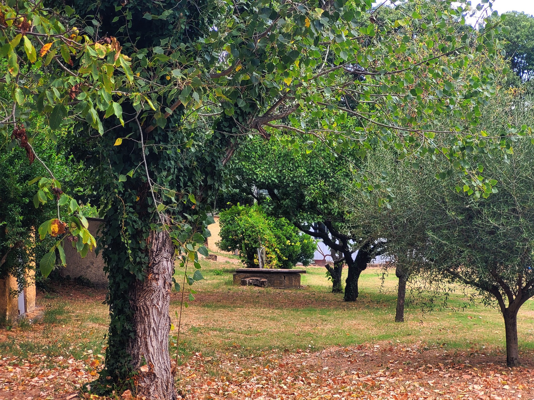 Vente Maison à Uzès 5 pièces