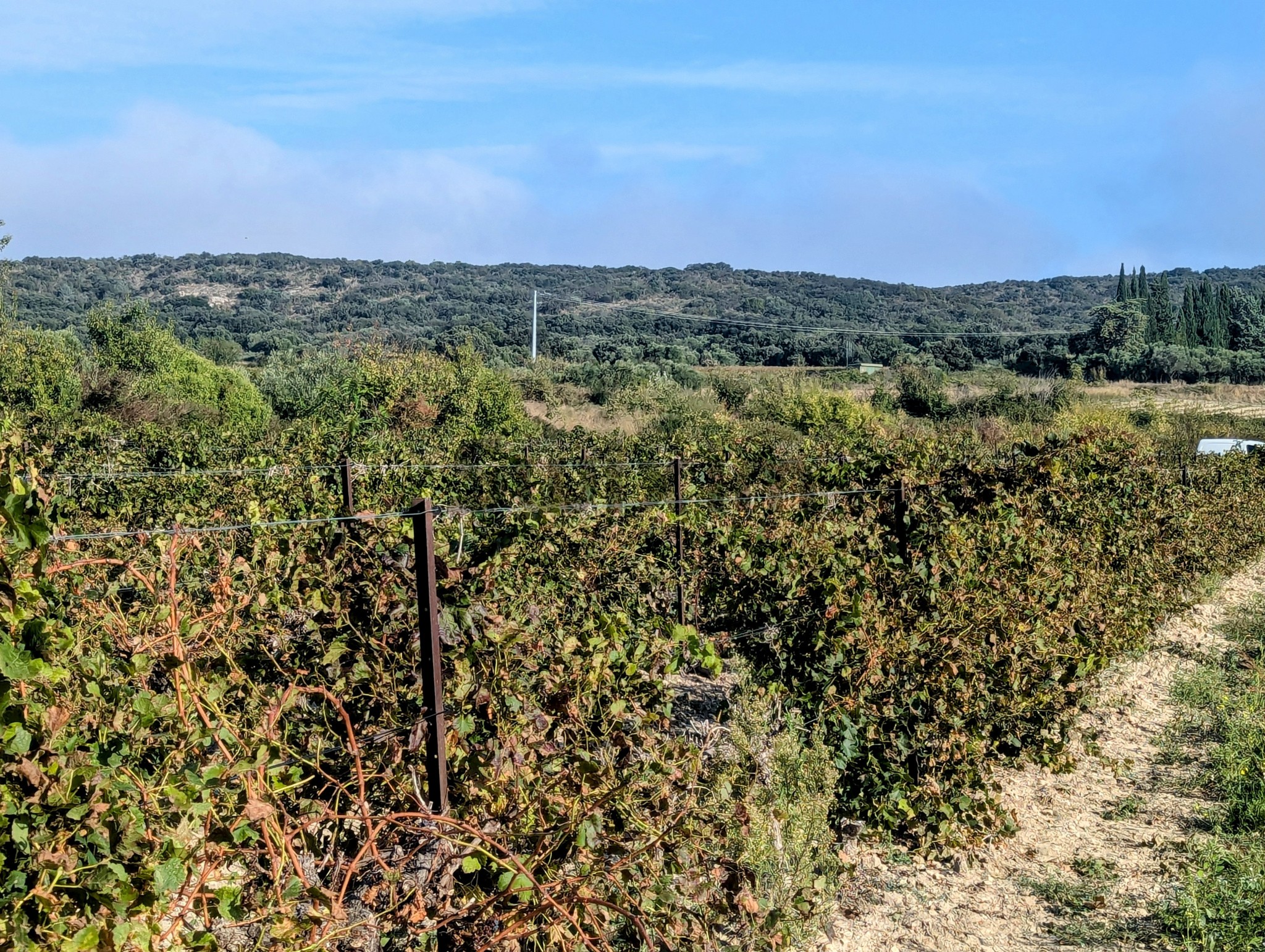 Vente Terrain à Castillon-du-Gard 0 pièce