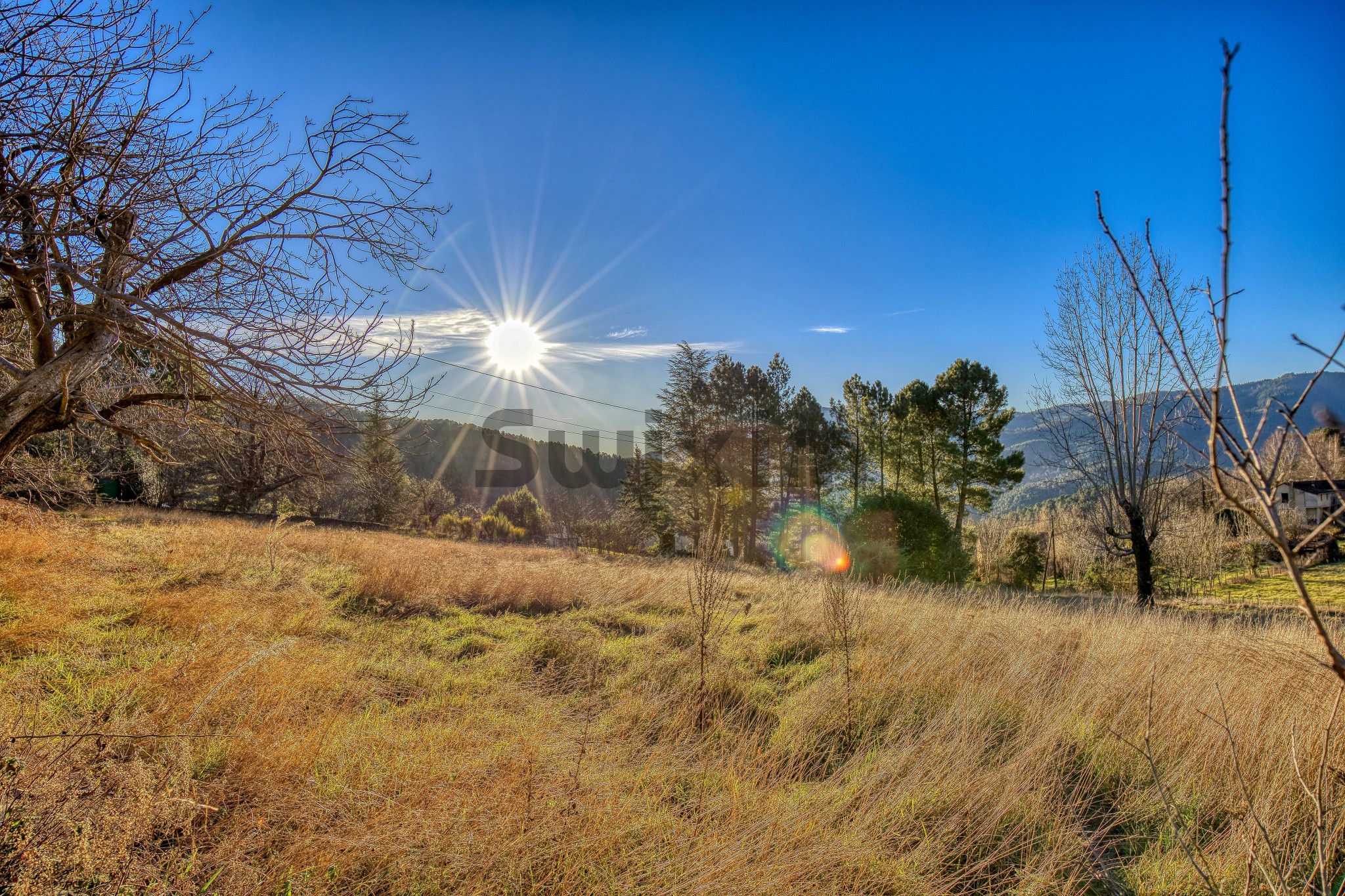 Vente Terrain à le Collet-de-Dèze 0 pièce