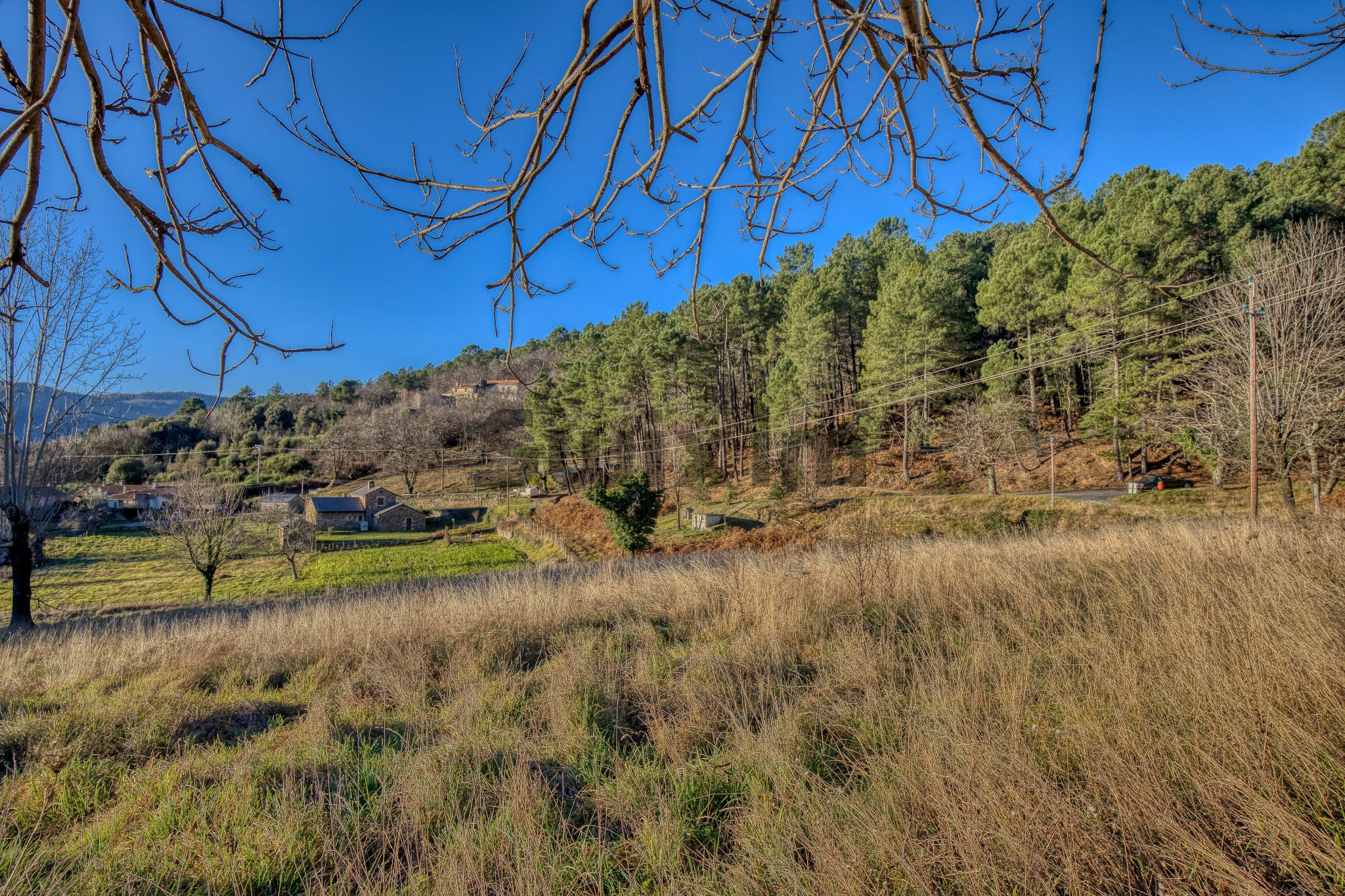 Vente Terrain à le Collet-de-Dèze 0 pièce