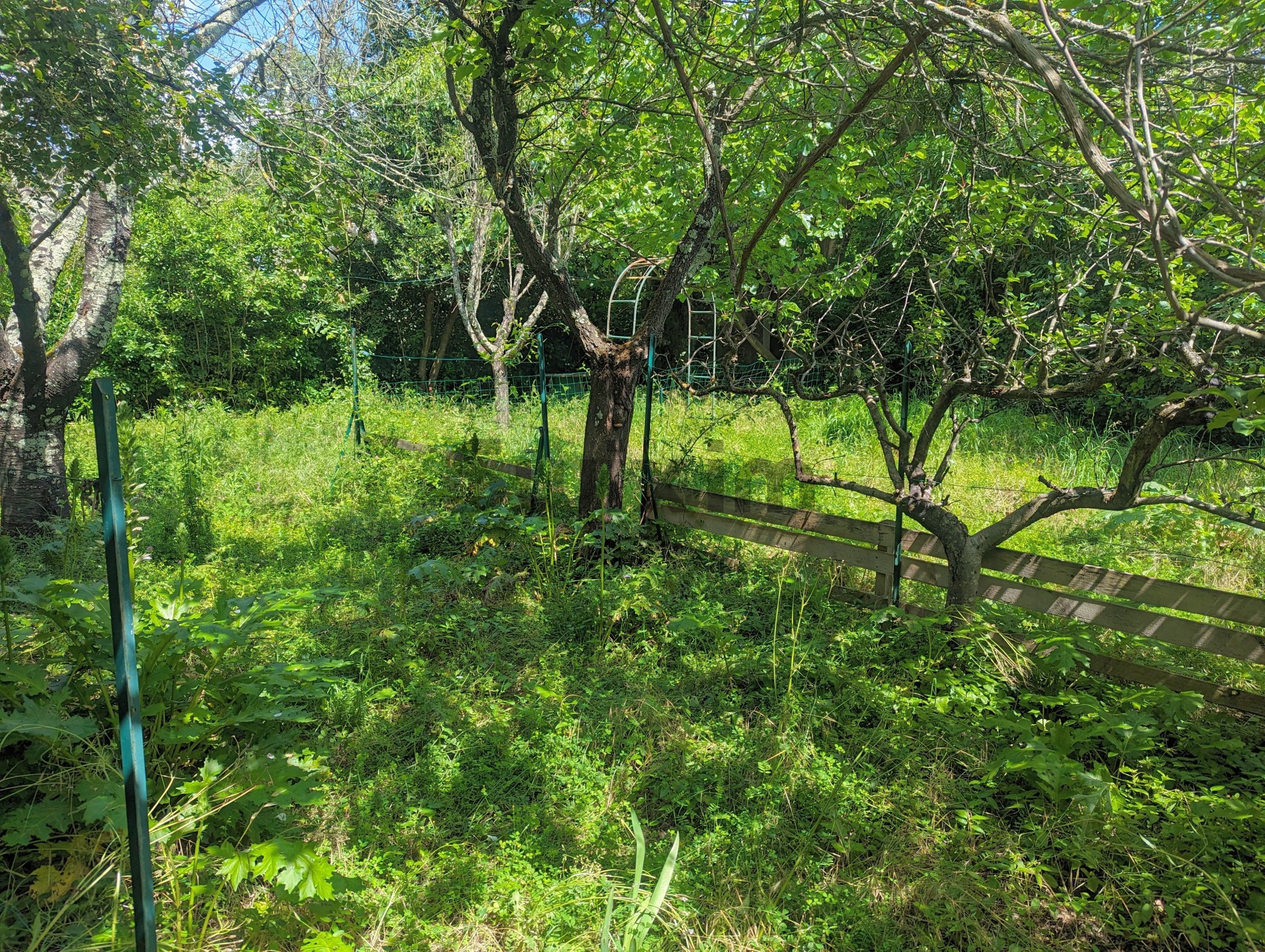 Vente Maison à Uzès 1 pièce