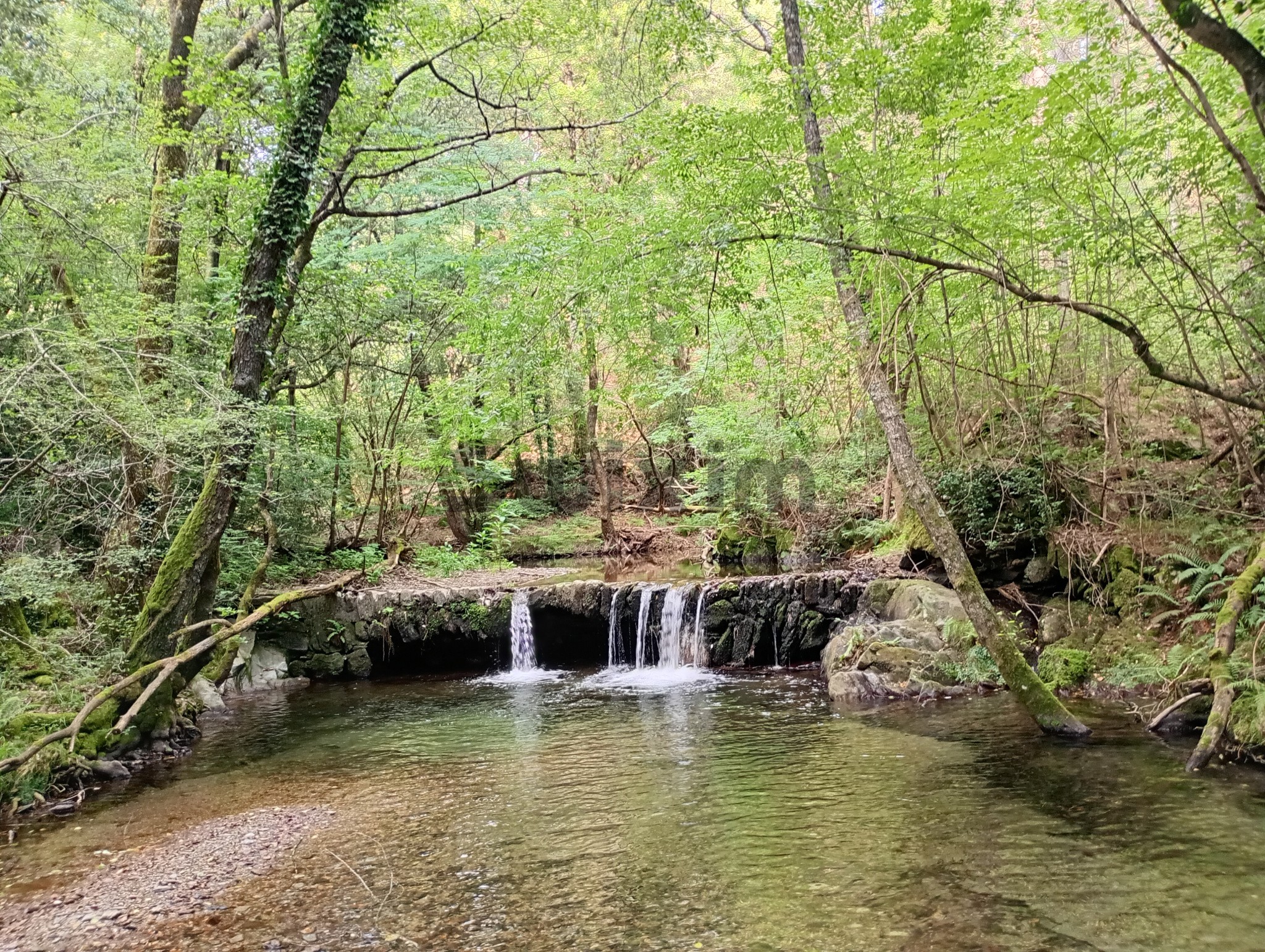 Vente Maison à Génolhac 2 pièces