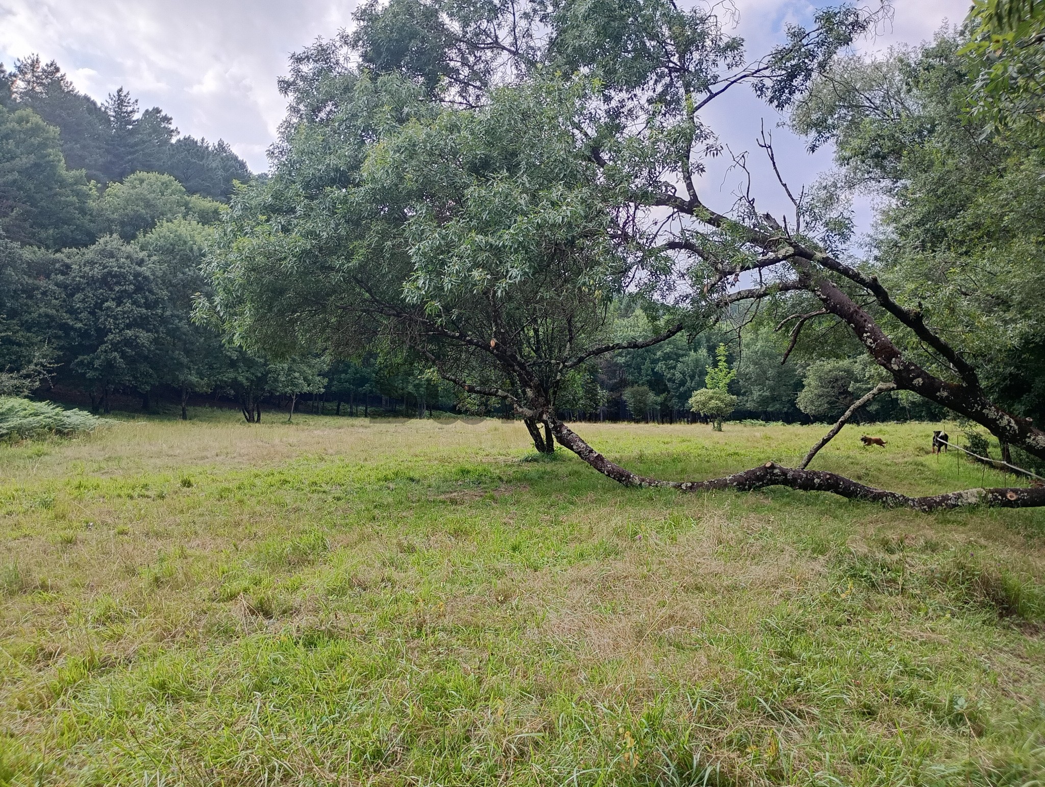 Vente Maison à Génolhac 2 pièces