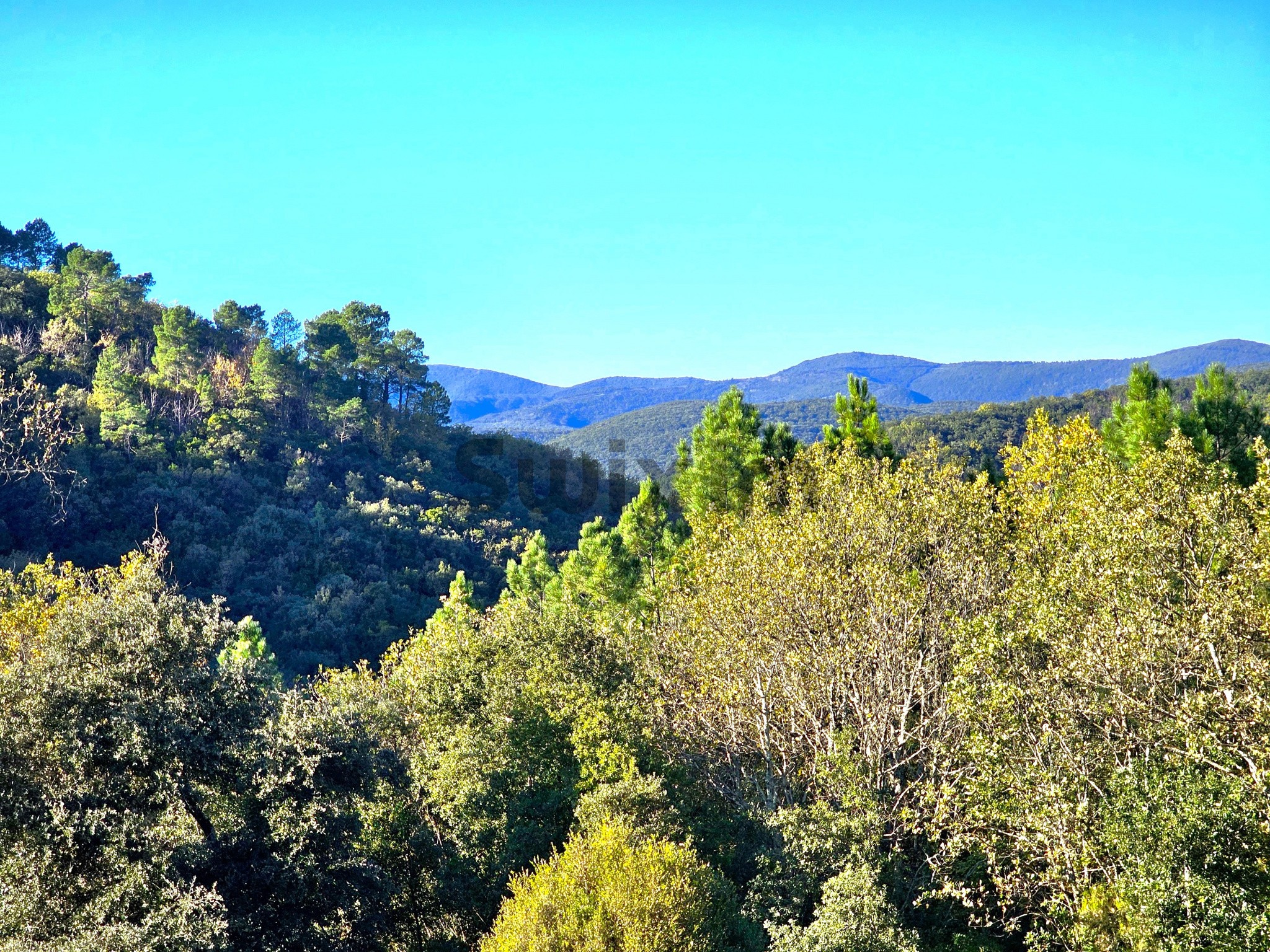 Vente Maison à Générargues 10 pièces