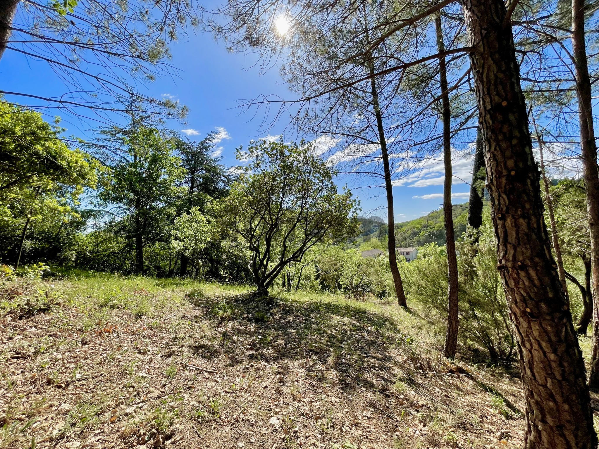 Vente Terrain à Alès 0 pièce