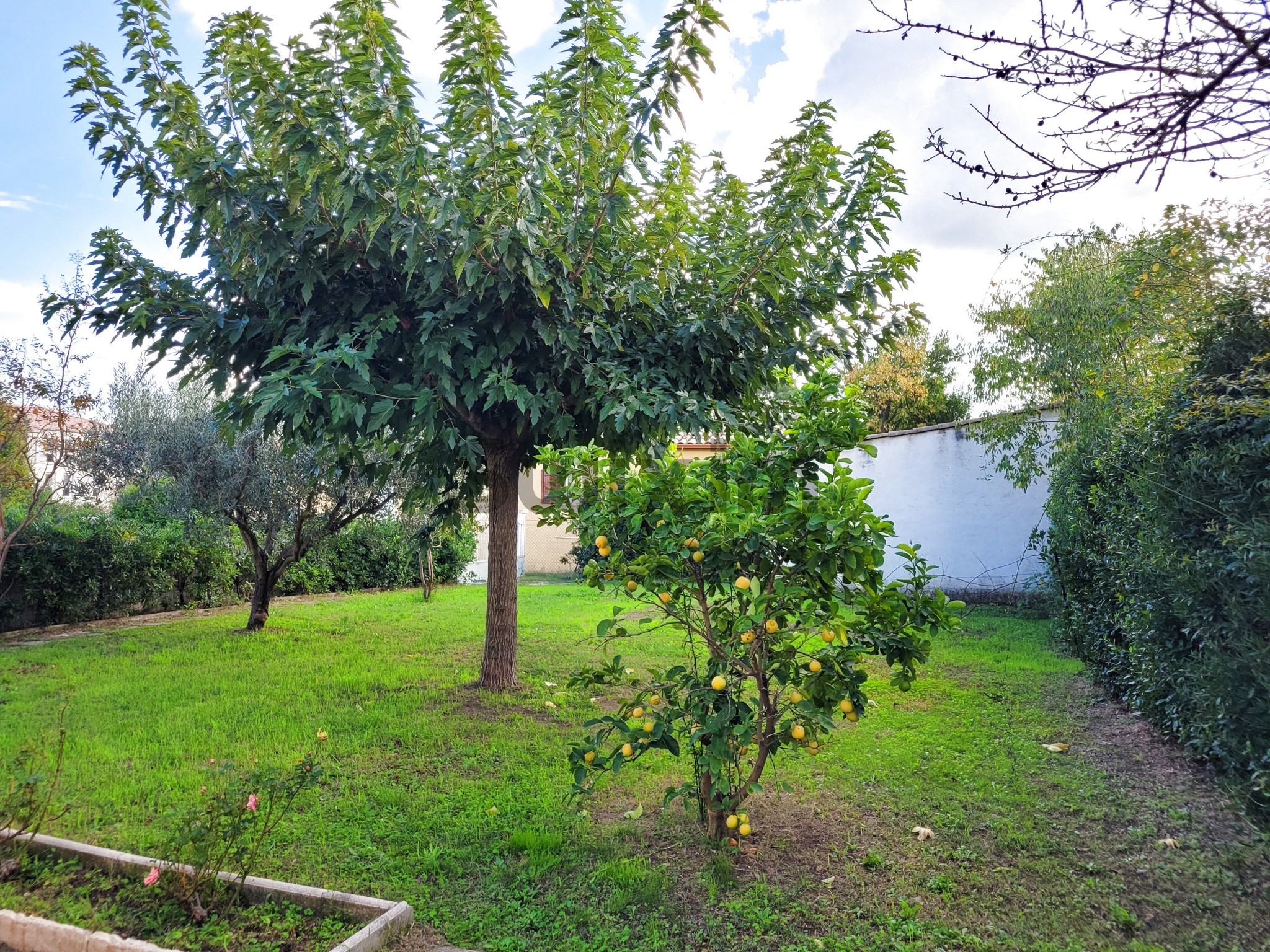 Vente Maison à Uzès 4 pièces