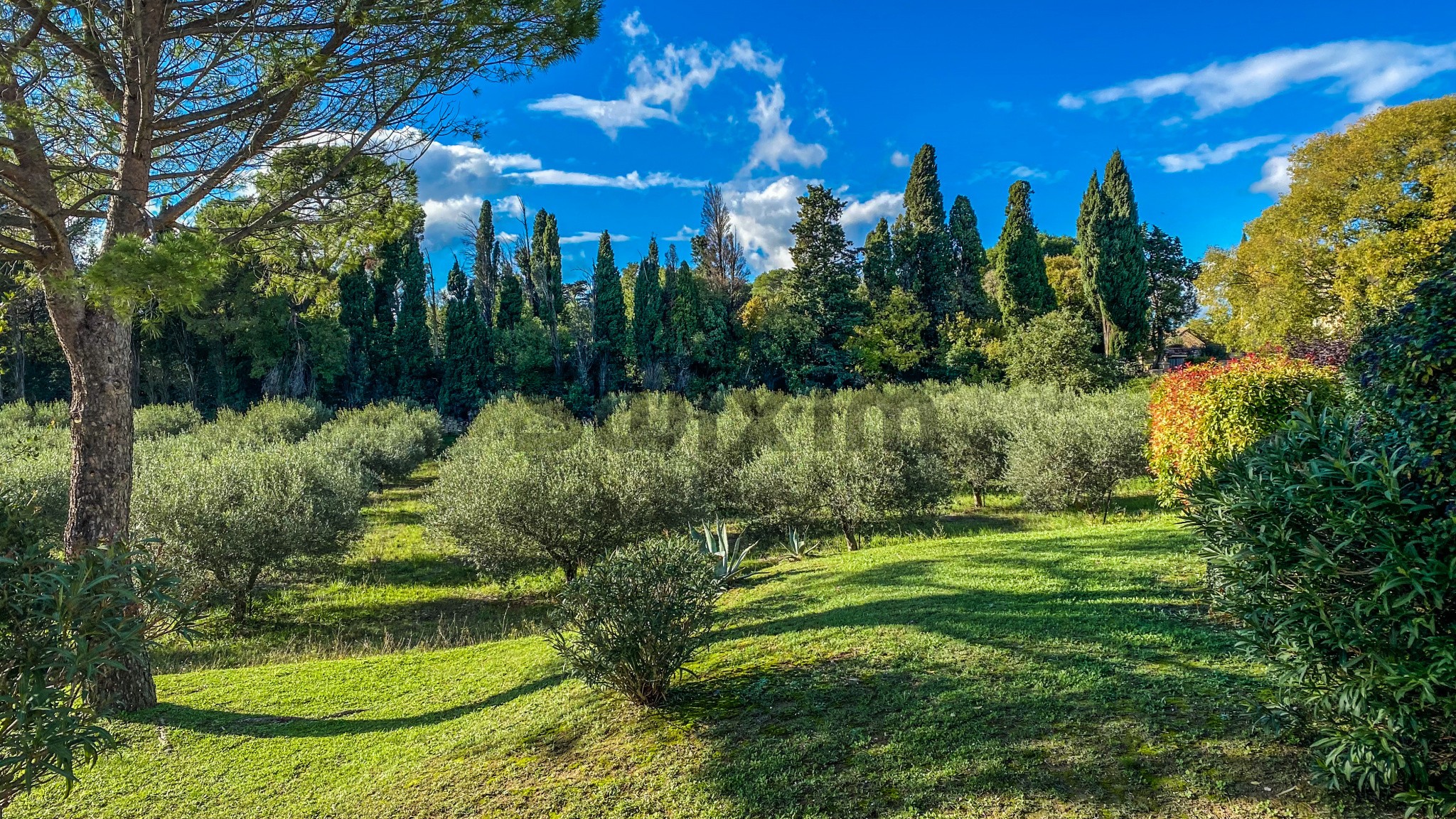 Vente Maison à Uzès 3 pièces