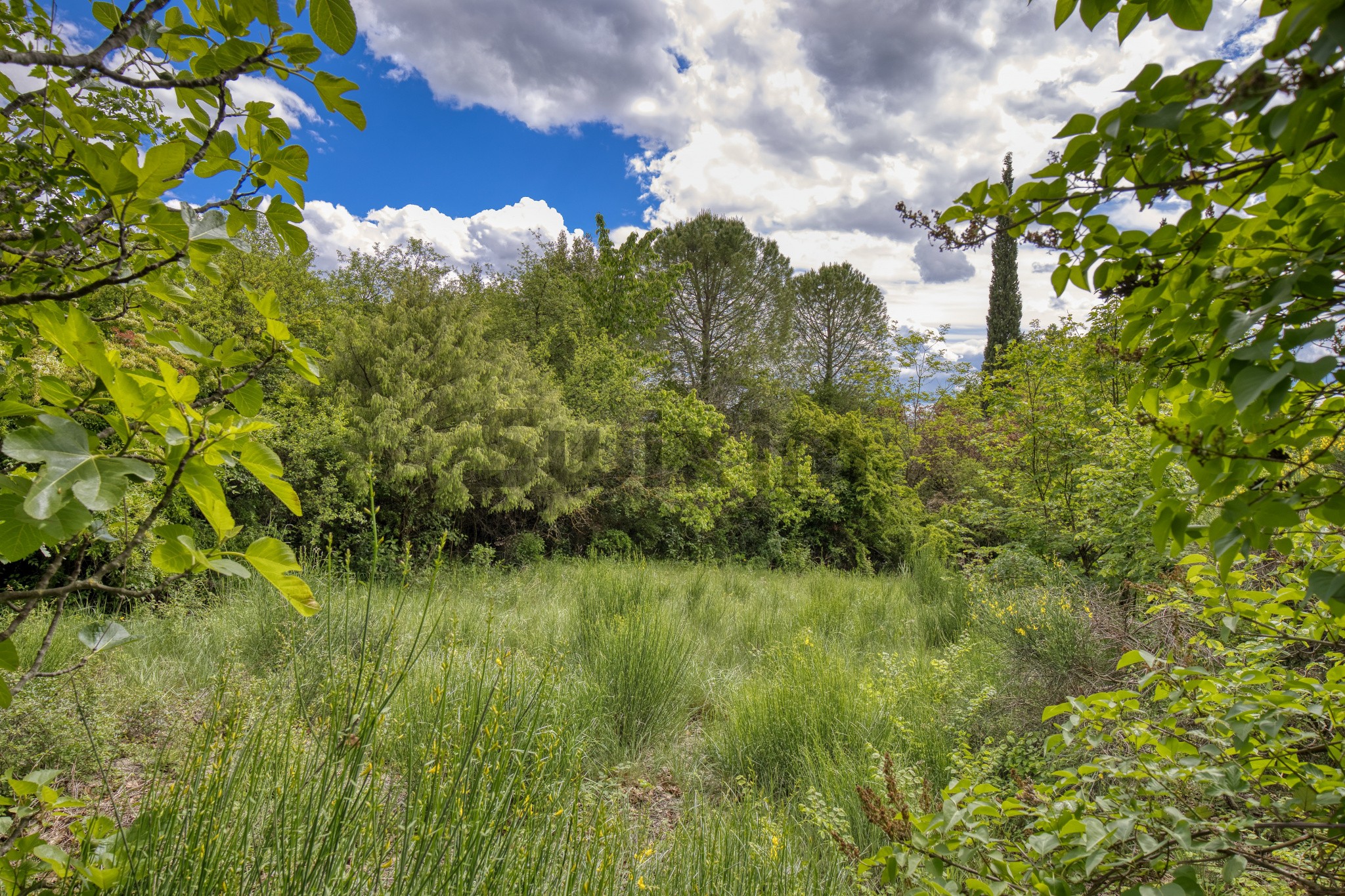 Vente Terrain à Barjac 0 pièce