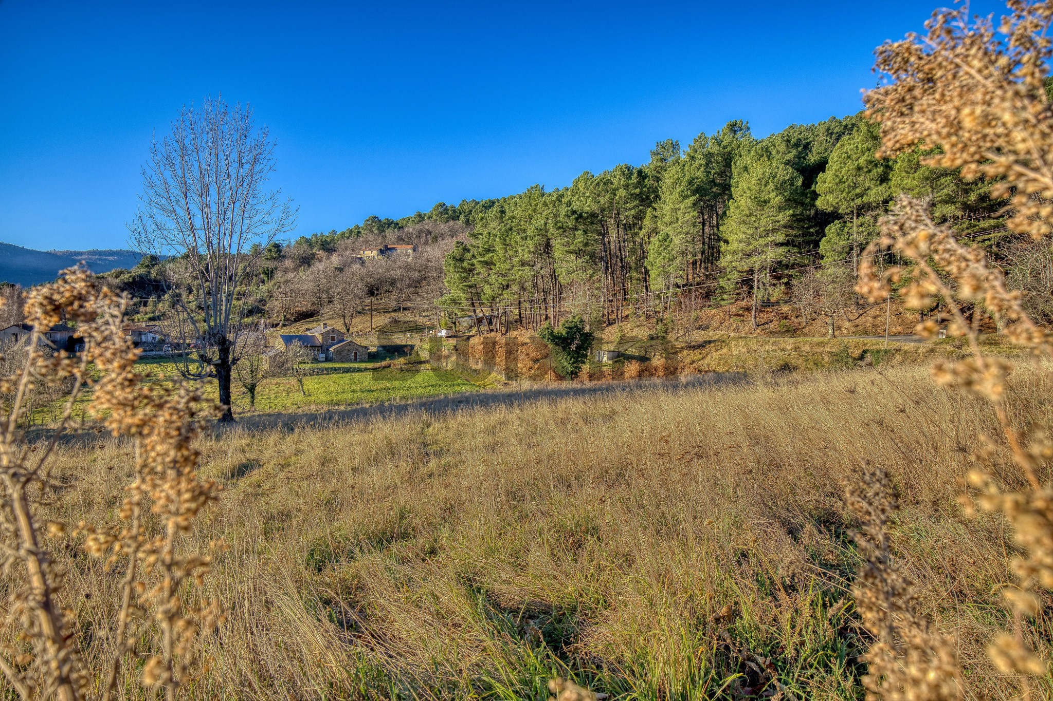 Vente Terrain à le Collet-de-Dèze 0 pièce