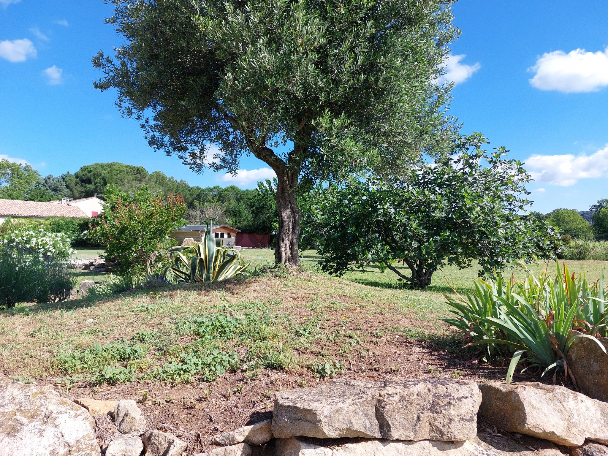 Vente Maison à Uzès 6 pièces