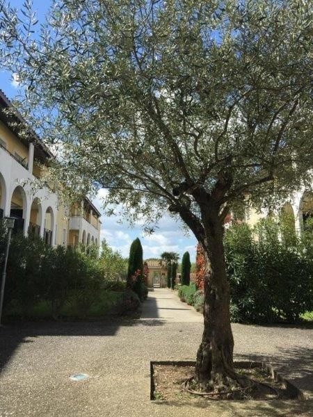 Vente Maison à Carcassonne 4 pièces